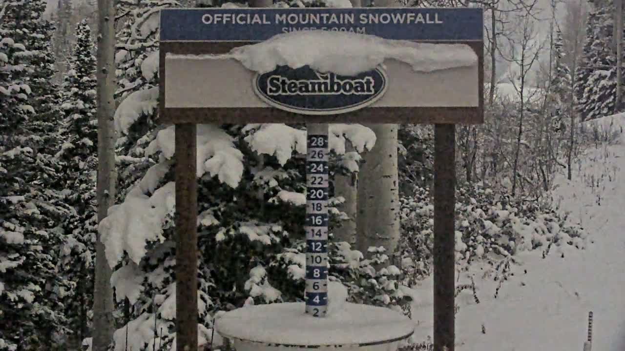 A snow-covered mountain landscape on an overcast winter day features a snow depth measuring stick mounted on a wooden framework in the foreground, surrounded by dense, snow-laden evergreen and bare deciduous trees.