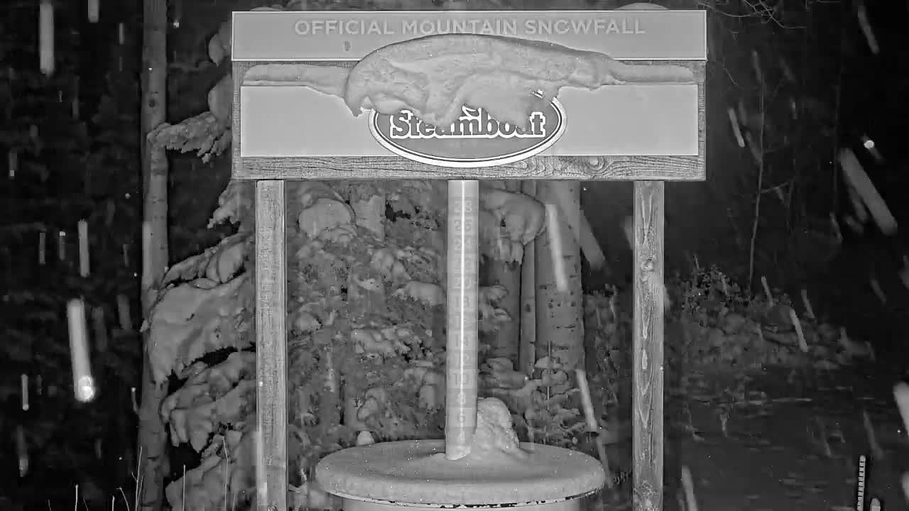 Steamboat Springs Mid-Mountain Snow Stake Live Cam - Steamboat Springs, Routt County, Colorado, USA