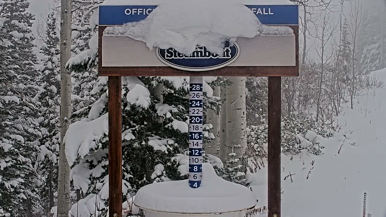 Steamboat Springs Mid-Mountain Snow Stake Live Cam - Steamboat Springs, Routt County, Colorado, USA