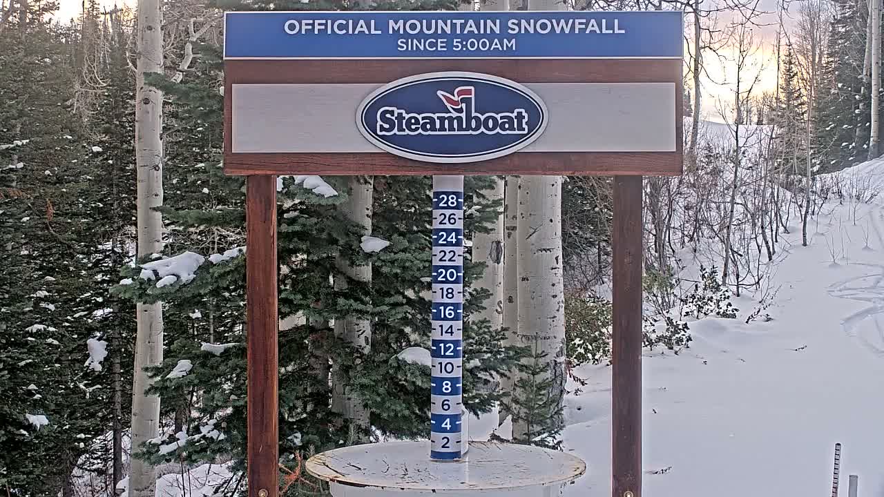 A snow-covered mountain landscape on an overcast winter day features a snow depth measuring stick mounted on a wooden framework in the foreground, surrounded by dense, snow-laden evergreen and bare deciduous trees.