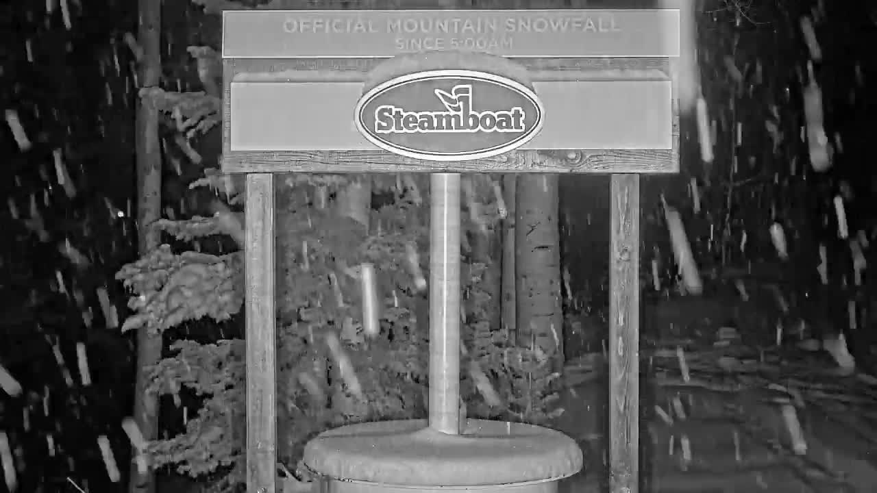 Steamboat Springs Mid-Mountain Snow Stake Live Cam - Steamboat Springs, Routt County, Colorado, USA