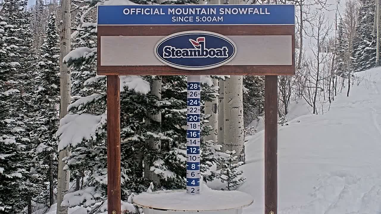 Steamboat Springs Mid-Mountain Snow Stake Live Cam - Steamboat Springs, Routt County, Colorado, USA