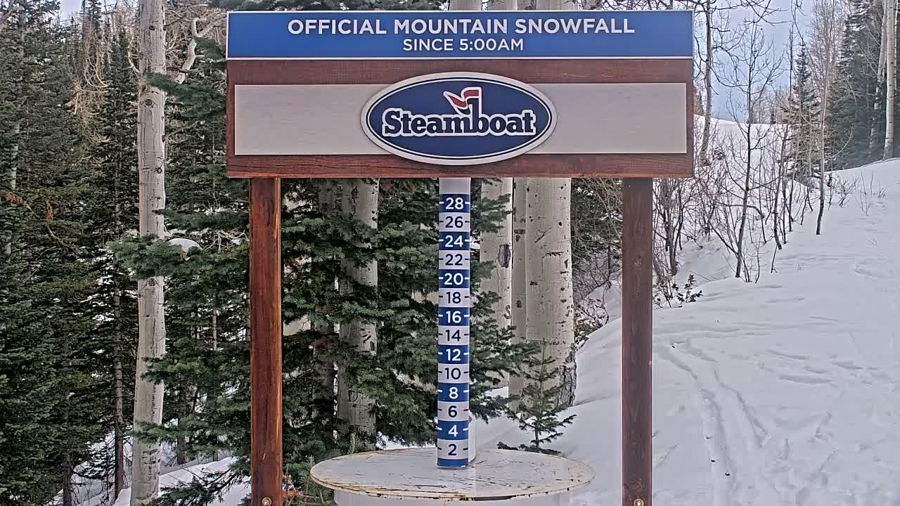 Steamboat Springs Mid-Mountain Snow Stake Live Cam - Steamboat Springs, Routt County, Colorado, USA