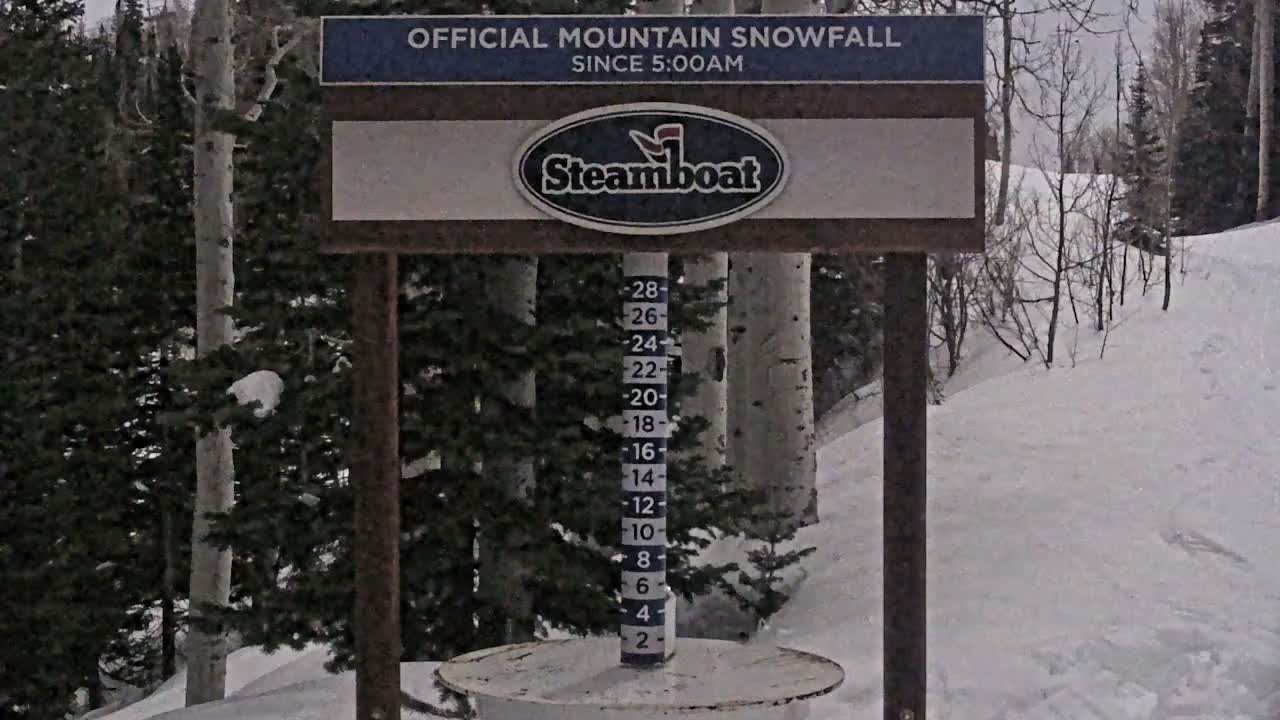 Steamboat Springs Mid-Mountain Snow Stake Live Cam - Steamboat Springs, Routt County, Colorado, USA