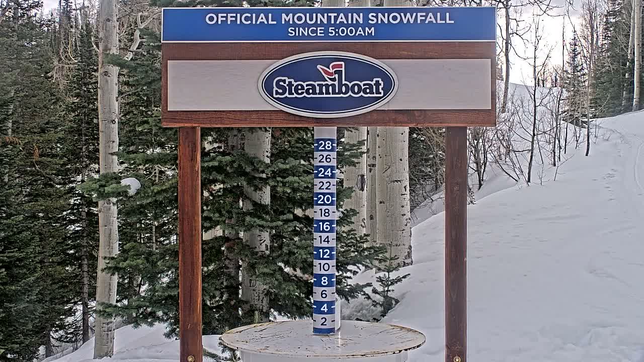 Steamboat Springs Mid-Mountain Snow Stake Live Cam - Steamboat Springs, Routt County, Colorado, USA