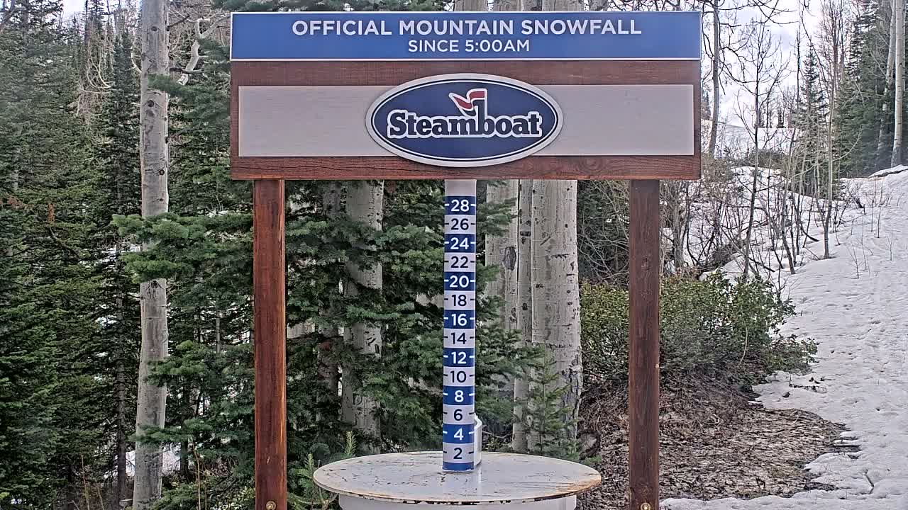 A snow-covered mountain landscape on an overcast winter day features a snow depth measuring stick mounted on a wooden framework in the foreground, surrounded by dense, snow-laden evergreen and bare deciduous trees.