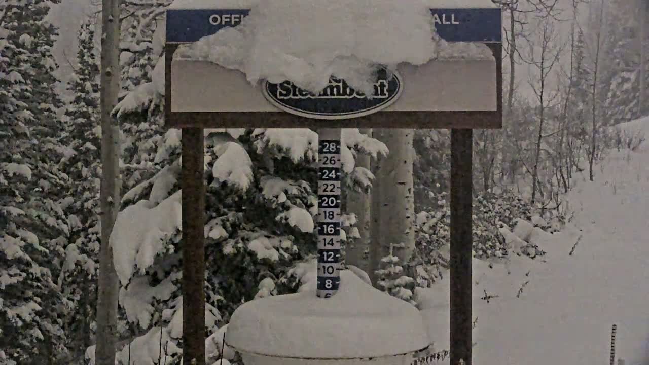 Banff Sunshine Ski Village Mt Bourgeau View & Aurora Borealis/ Northern Lights Live Cam -  Banff, Alberta's Rockies, Alberta, Canada