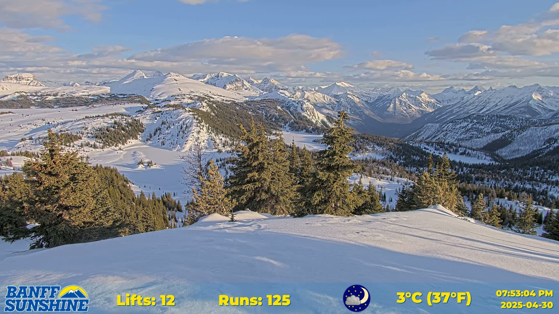 A snow-covered mountain range stretches into the distance under a partly cloudy sky, with evergreen trees in the foreground.