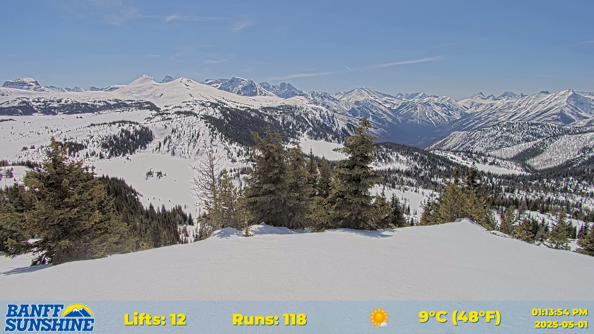 A snow-covered mountain range is visible under a clear, sunny sky, with evergreen trees in the foreground.