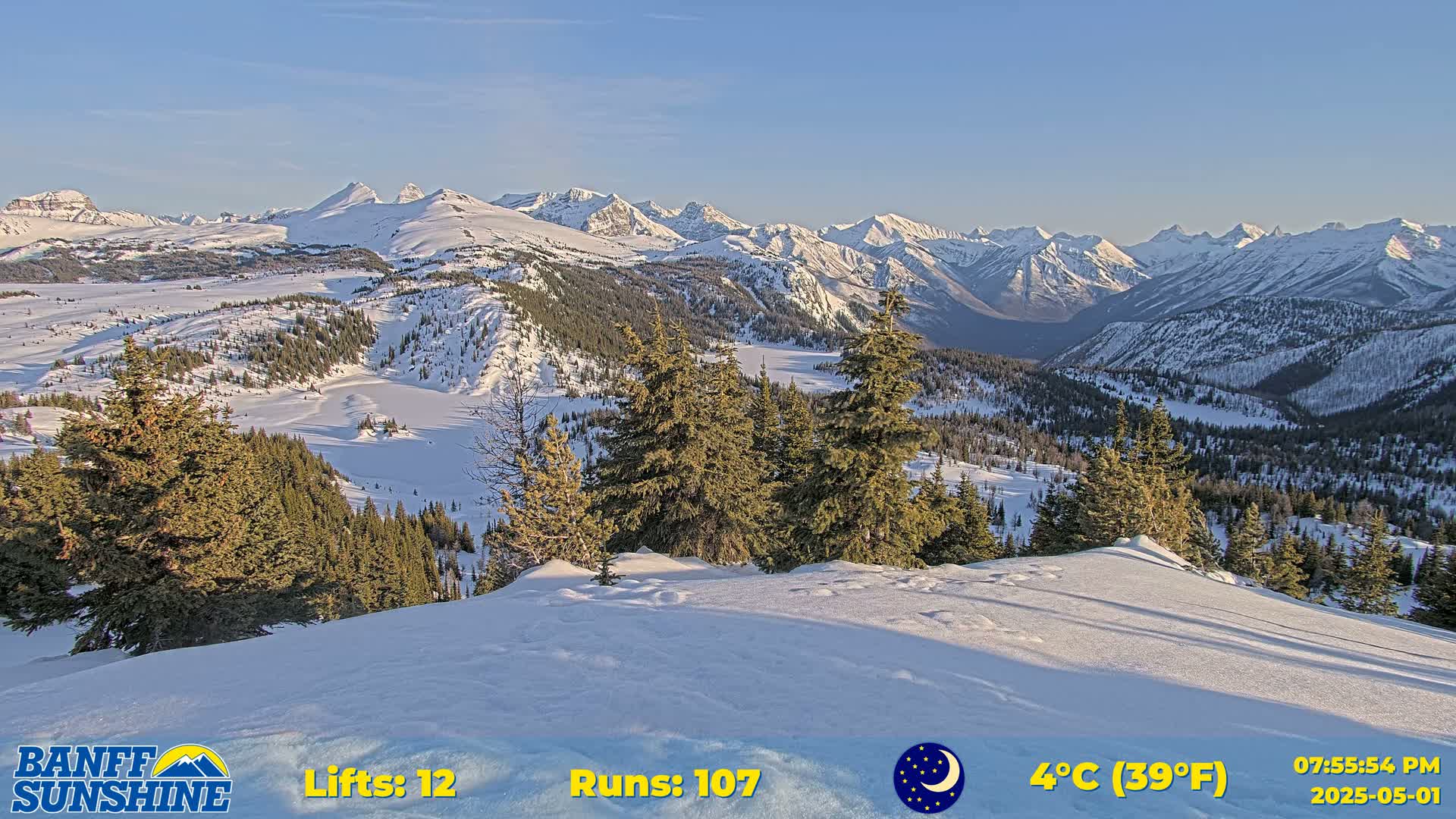 A snow-covered mountain range stretches into the distance under a clear, bright sky, with evergreen trees in the foreground.