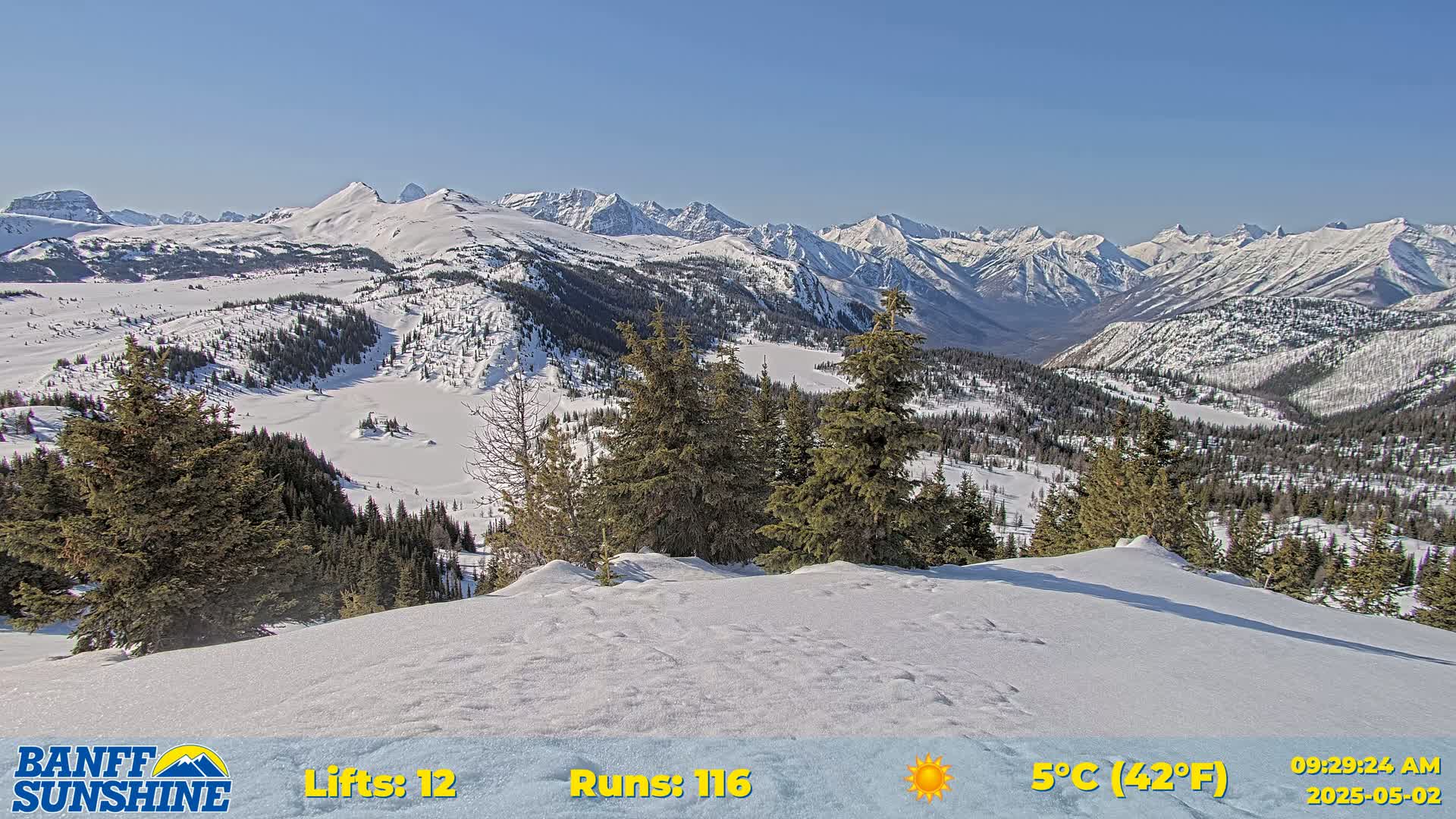 A snow-covered mountain range stretches into the distance under a clear blue sky, with evergreen trees in the foreground.