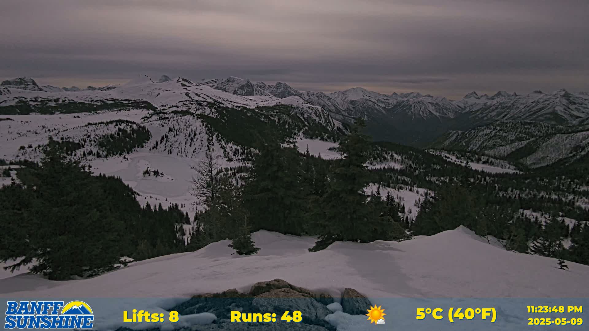 A snow-covered mountain range is visible under an overcast sky, with evergreen trees dotting the lower slopes.