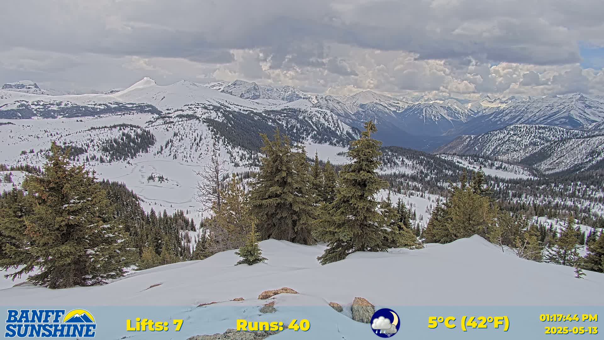 A snow-covered mountain range stretches into the distance under a cloudy sky, with evergreen trees in the foreground.
