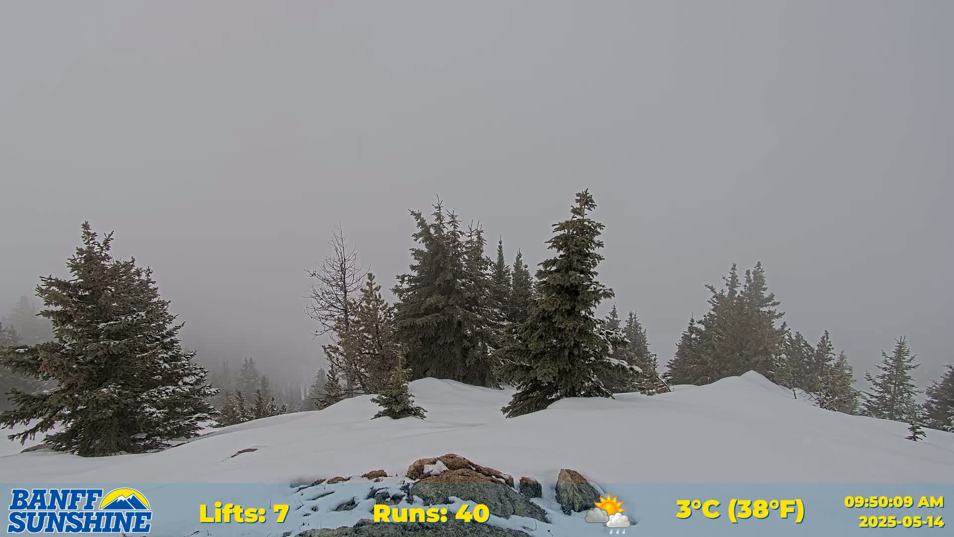 A snow-covered landscape with evergreen trees is visible under foggy conditions.