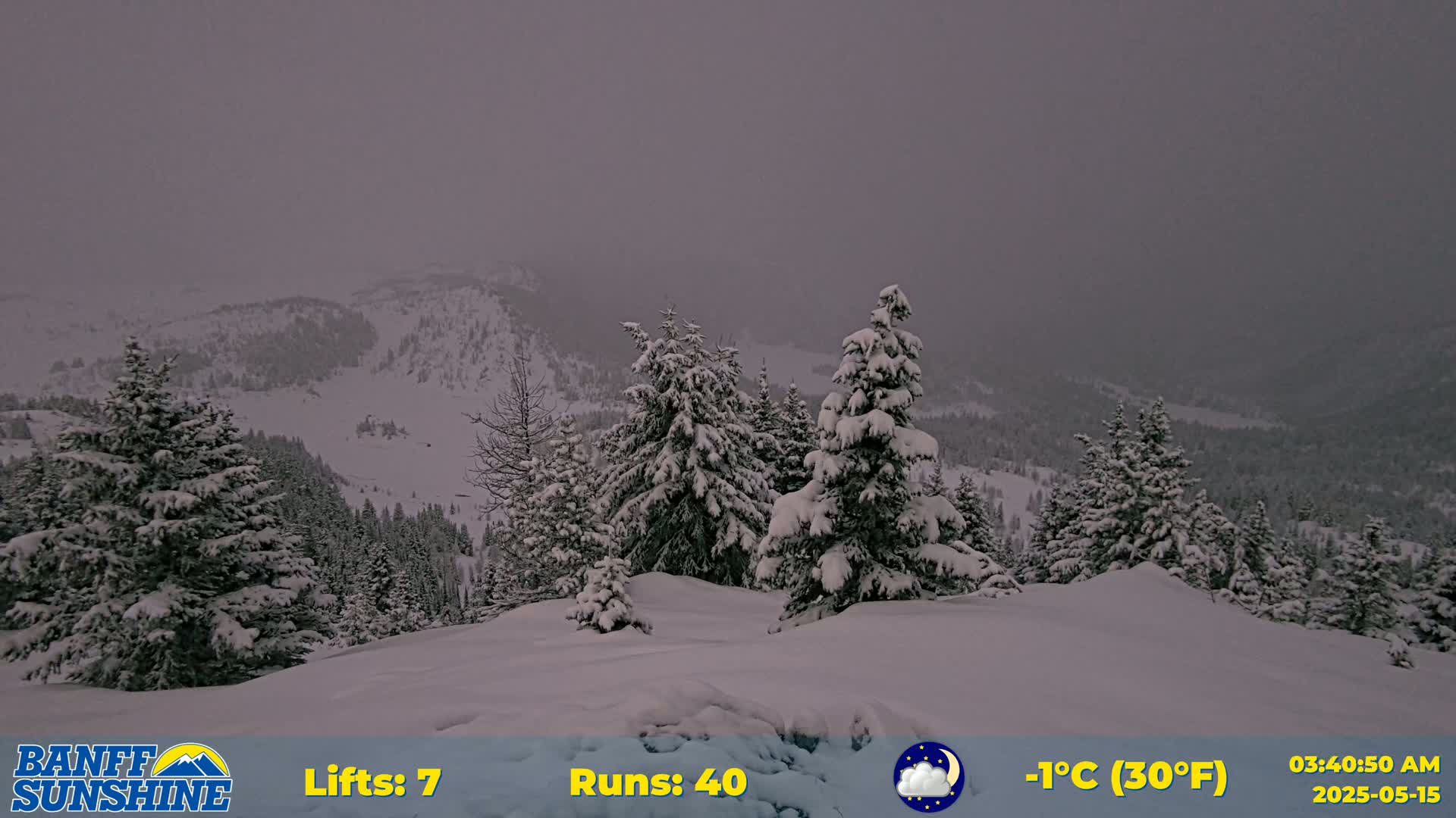 Snow-covered evergreen trees stand on a snowy hill overlooking a snow-covered mountain range under an overcast sky.
