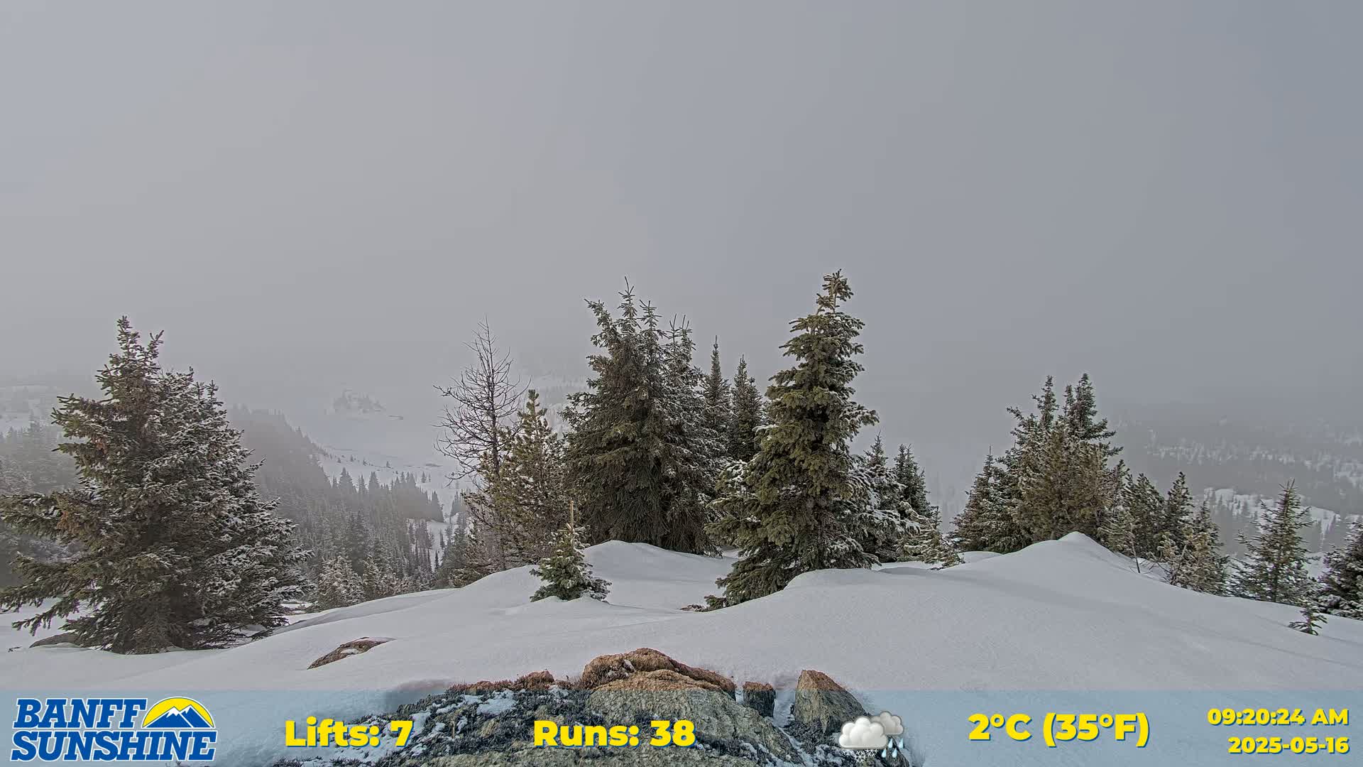 A snowy, overcast mountaintop scene features several evergreen trees dusted with snow, with a hazy, snow-filled valley visible in the distance.