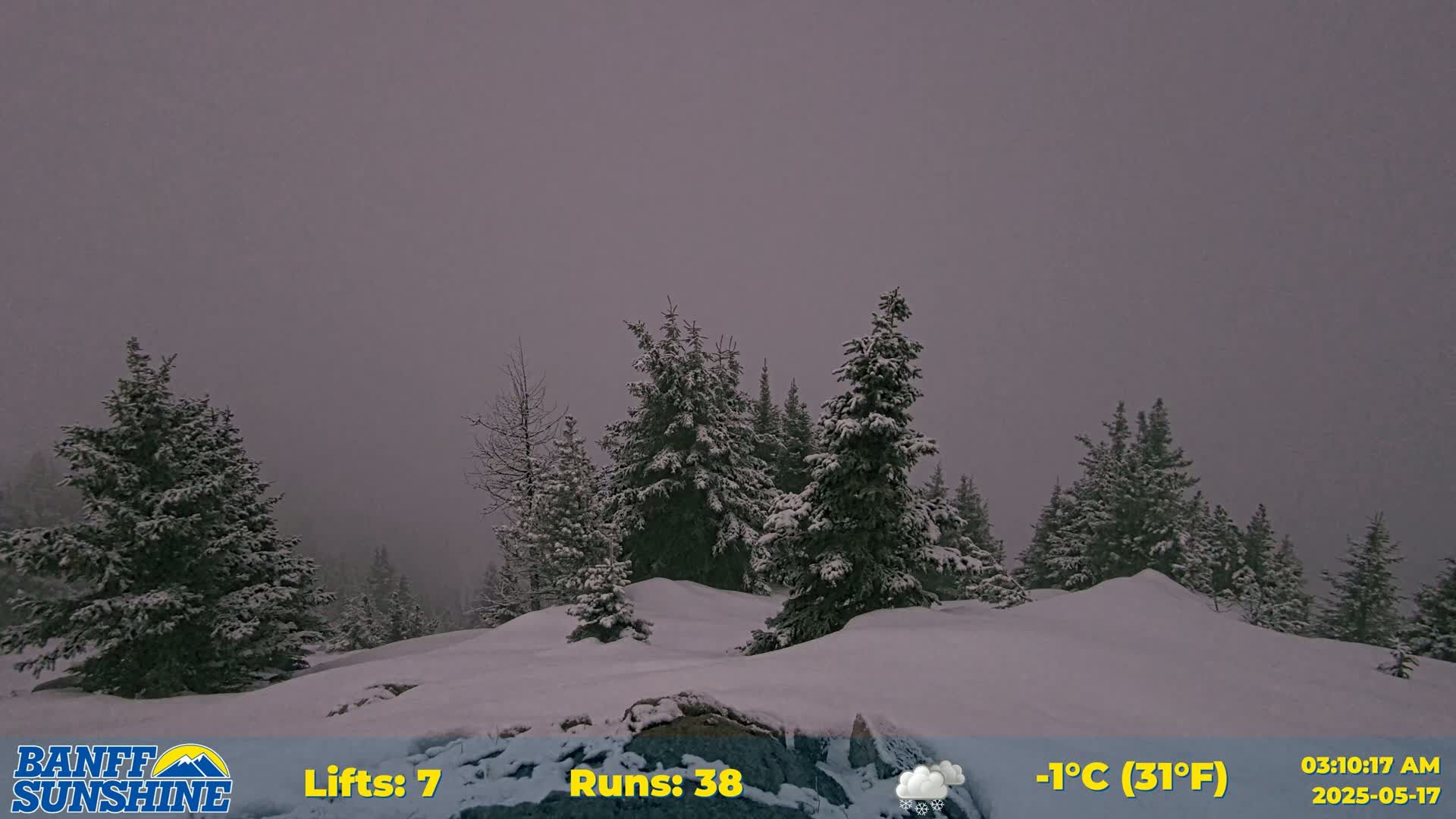 A snow-covered landscape with evergreen trees under a gray, overcast sky.
