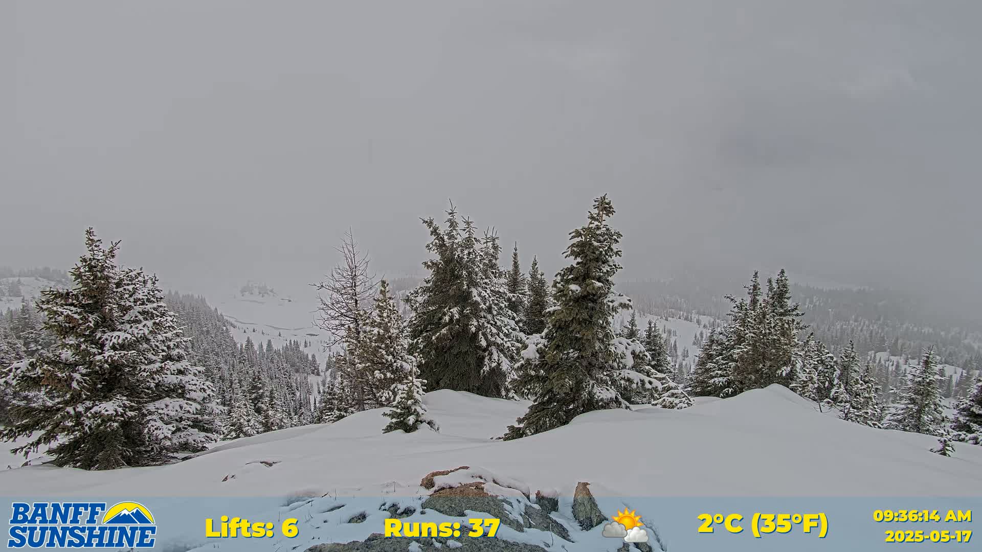 A snow-covered landscape with evergreen trees under an overcast sky.