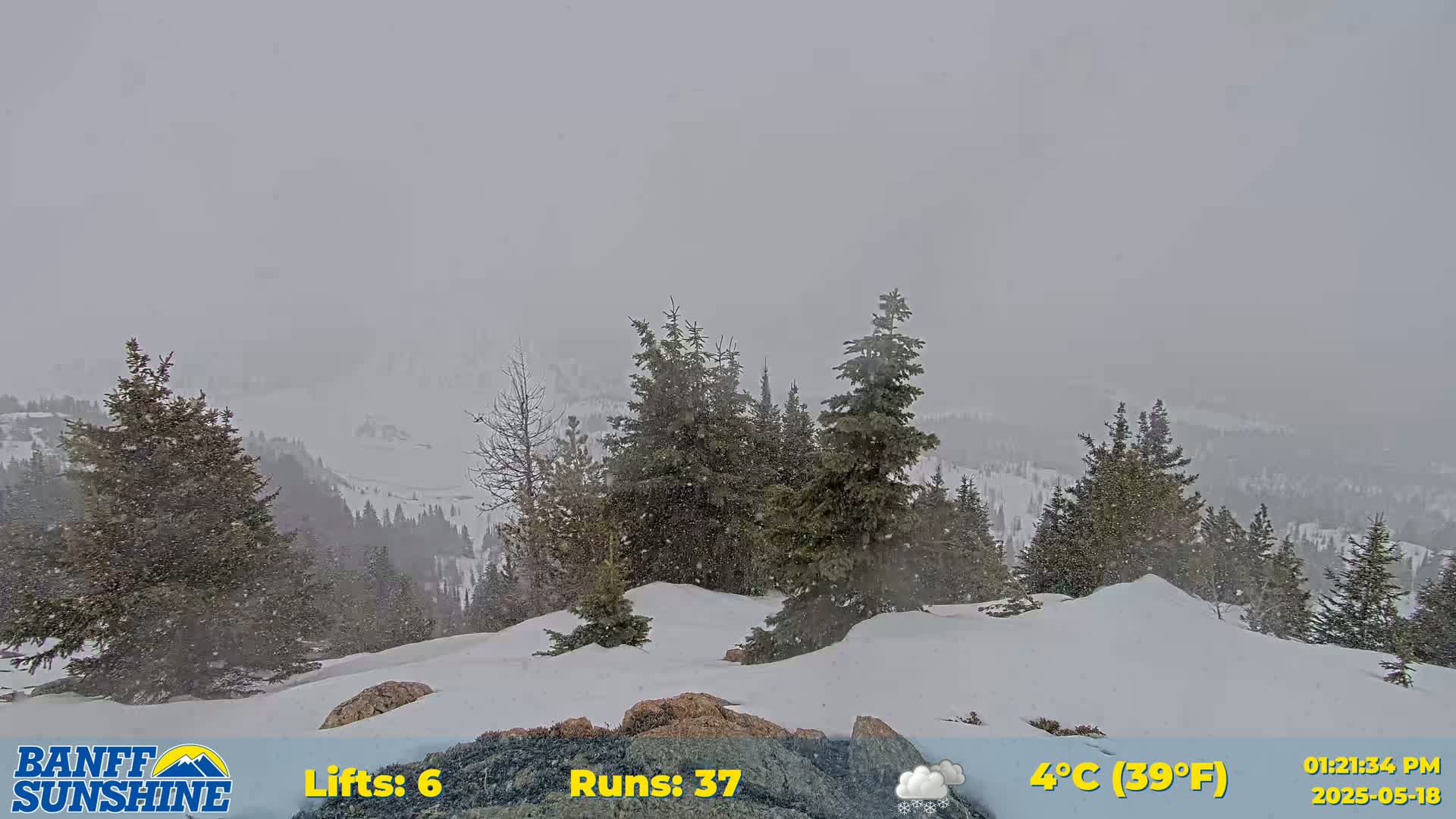 Banff Sunshine Ski Village Rock Isle Lake & Panaromic Rocky Mountain View  Live Cam - Banff, Alberta's Rockies, Alberta, Canada