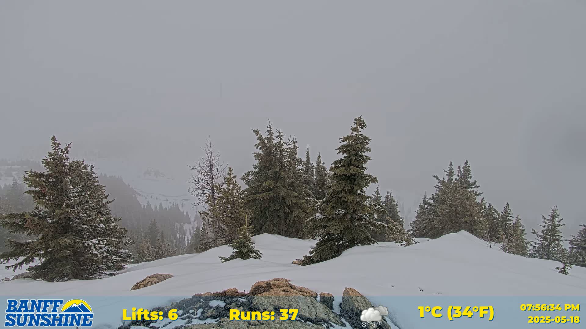 Banff Sunshine Ski Village Rock Isle Lake & Panaromic Rocky Mountain View  Live Cam - Banff, Alberta's Rockies, Alberta, Canada