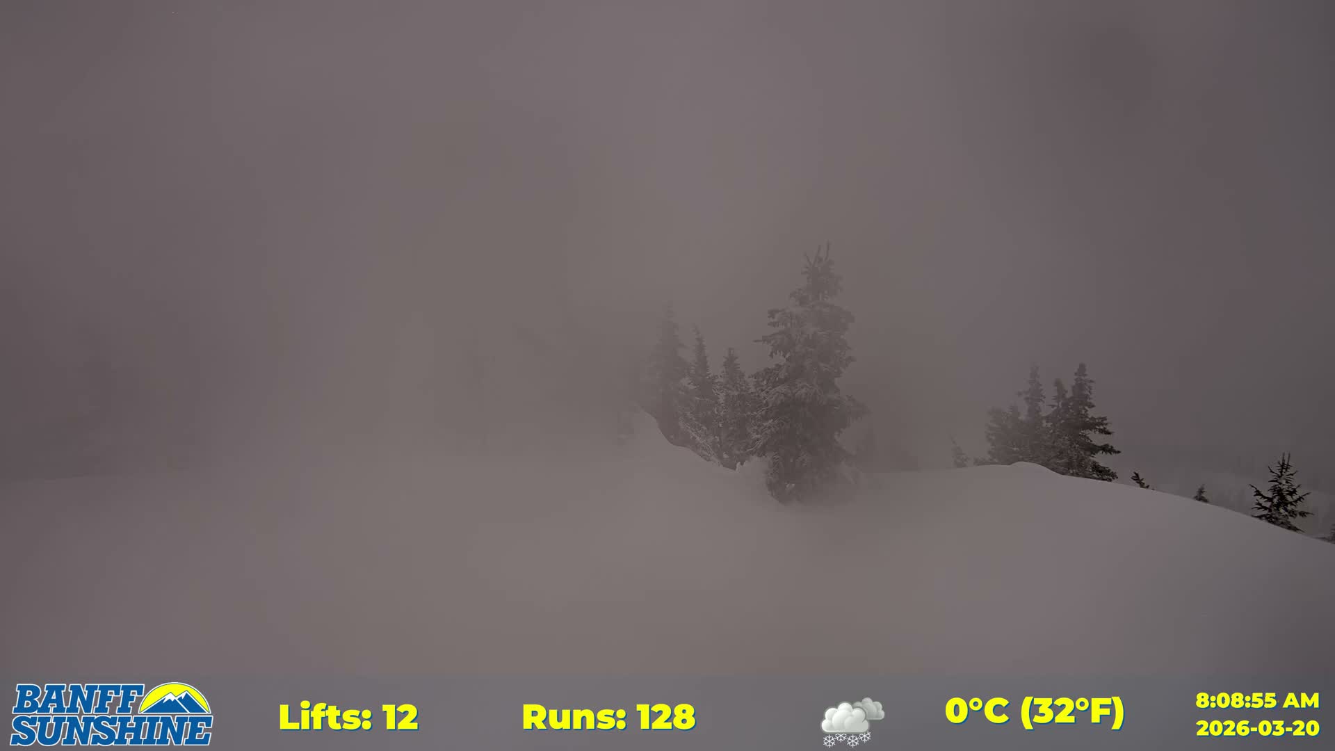 Banff Sunshine Ski Village Rock Isle Lake & Panaromic Rocky Mountain View  Live Cam - Banff, Alberta's Rockies, Alberta, Canada