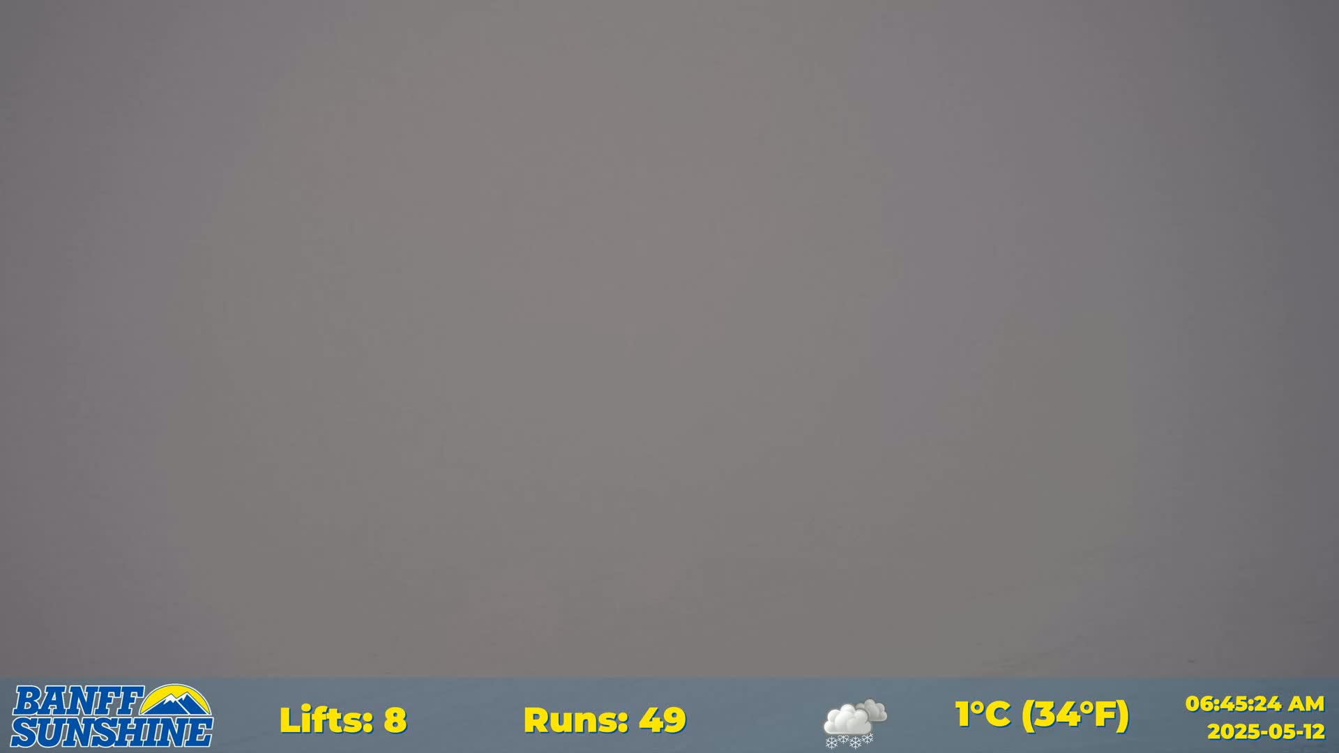 A hazy, gray outdoor scene with light snow.