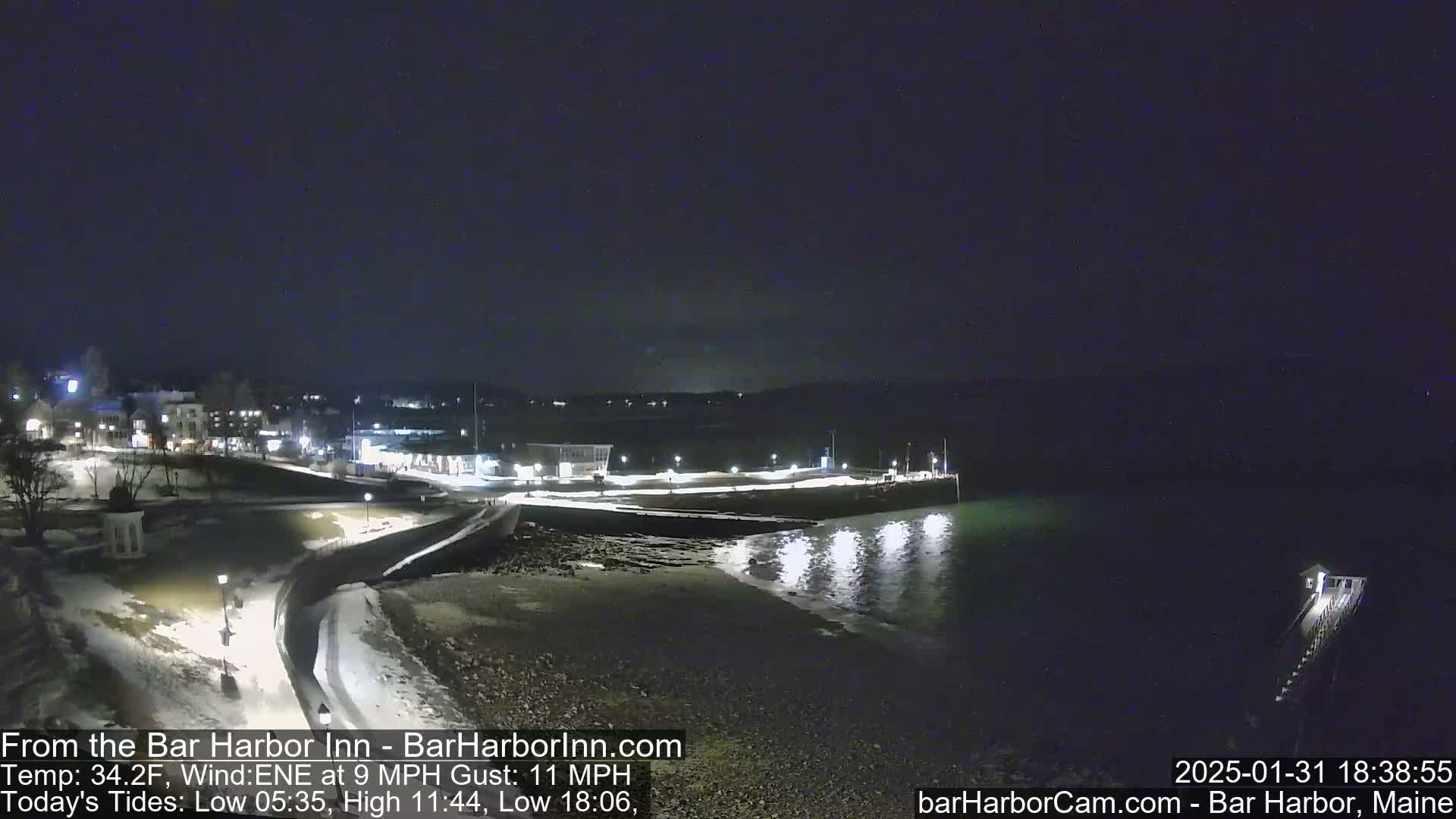 A nighttime view of a snow-covered shoreline with a town in the background under a clear, dark sky.