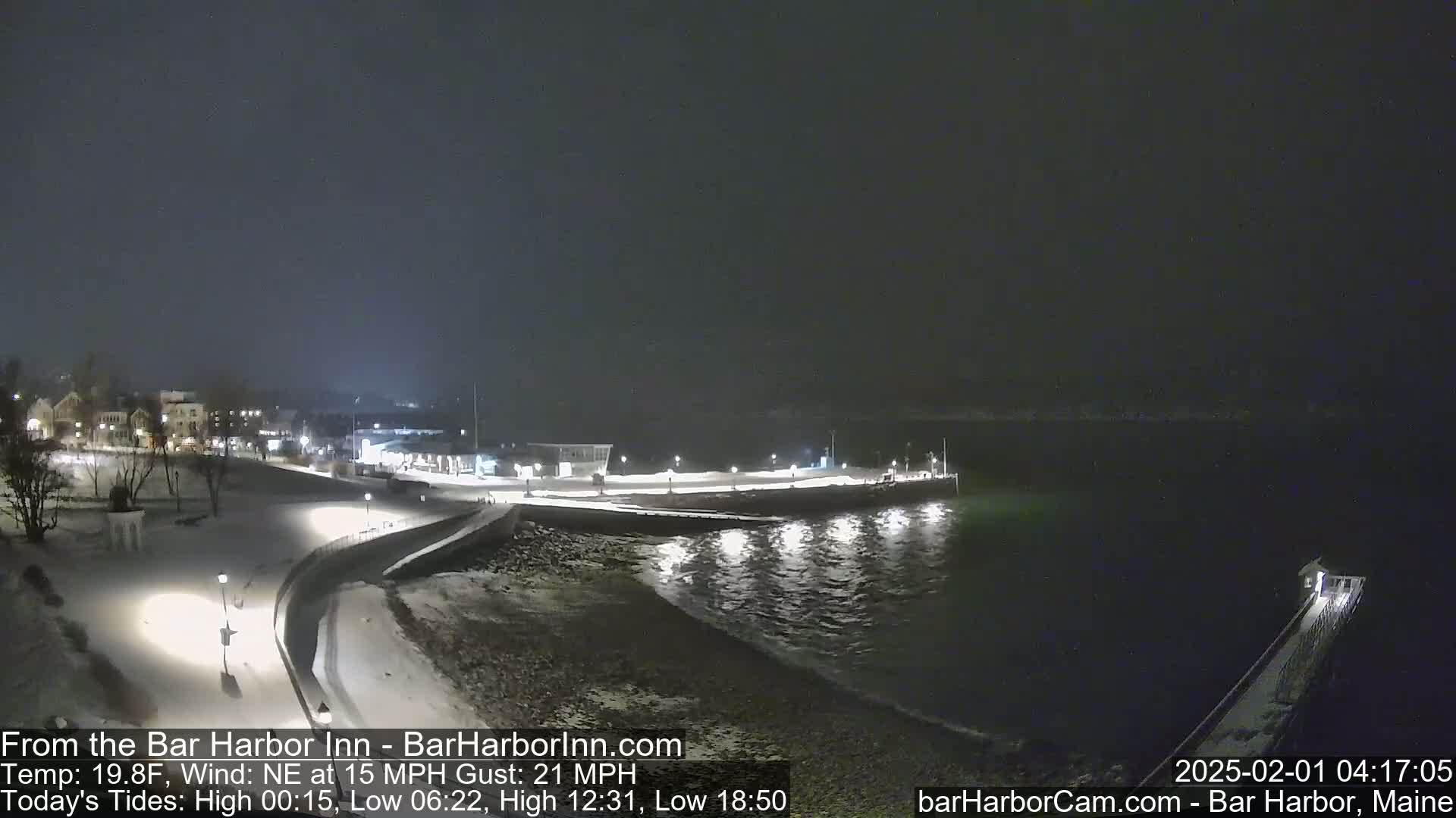 A snow-covered shoreline at night, with a dark body of water showing small waves under lights, and buildings in the distance under a dark, overcast sky.