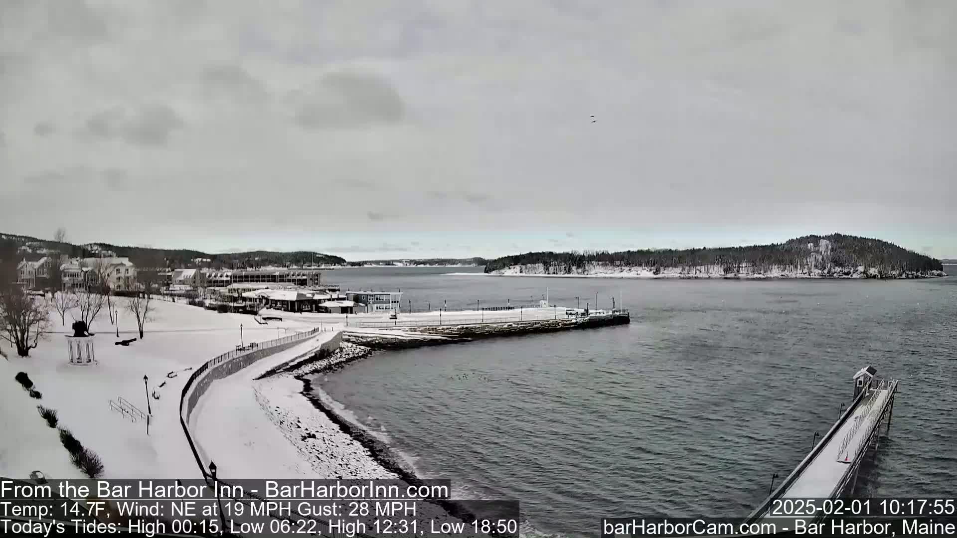 A snow-covered waterfront scene shows buildings, a partially frozen harbor, and a long pier extending into the water under a cloudy sky.