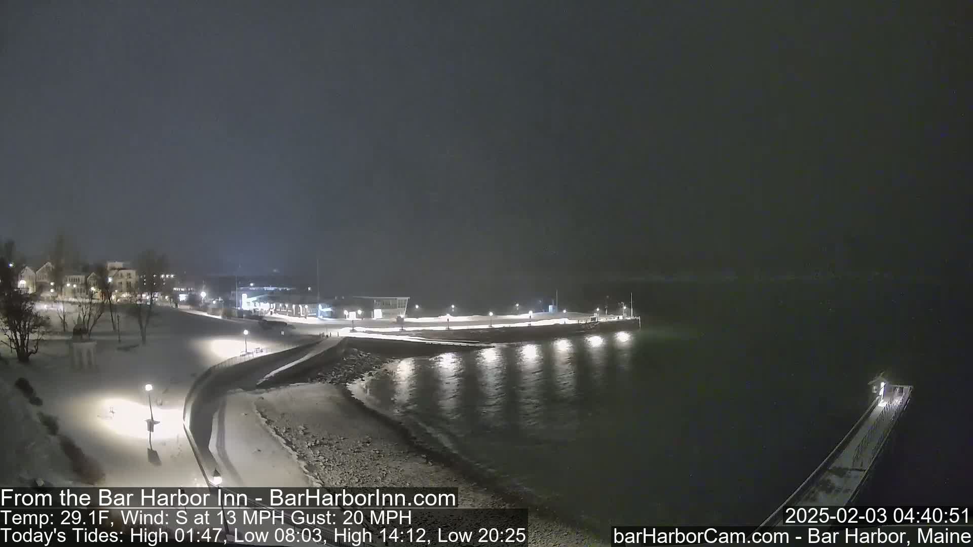 A snow-covered shoreline at night, with lights illuminating a walkway and pier extending into dark water.