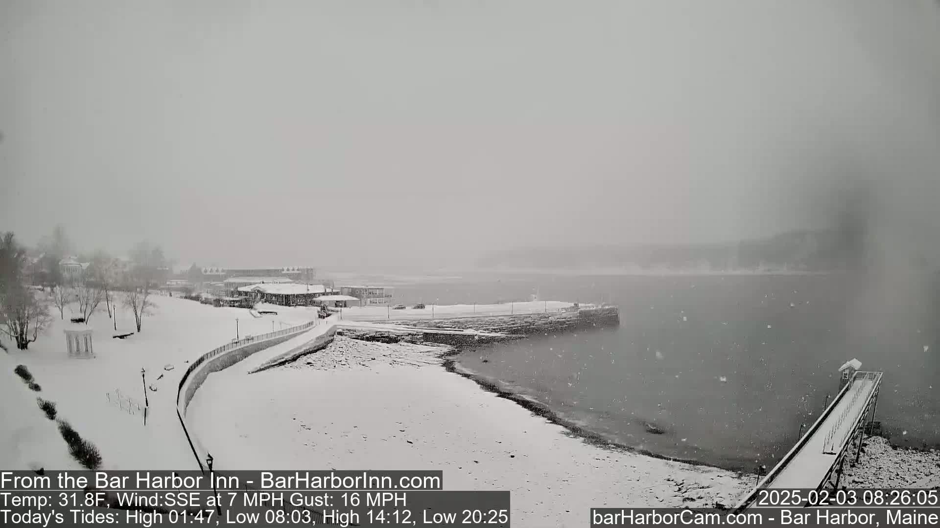 A snow-covered waterfront scene shows a snow-dusted pier extending into a gray, snow-flecked body of water, with buildings and a snow-covered park visible in the background under a heavy snowfall.