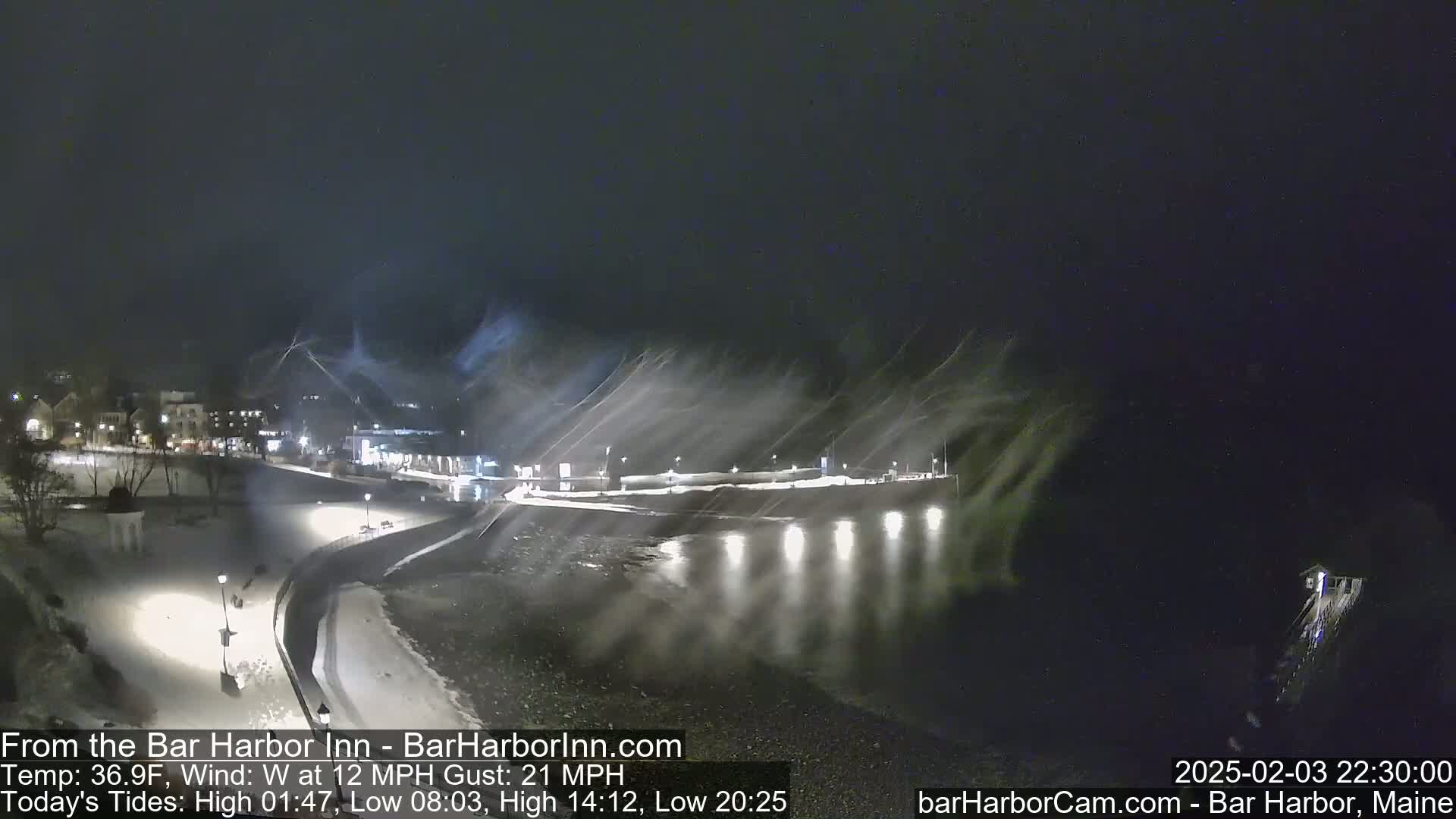 A nighttime scene of a snow-covered waterfront town with a body of water reflecting lights under a heavy snowfall with a strong west wind.