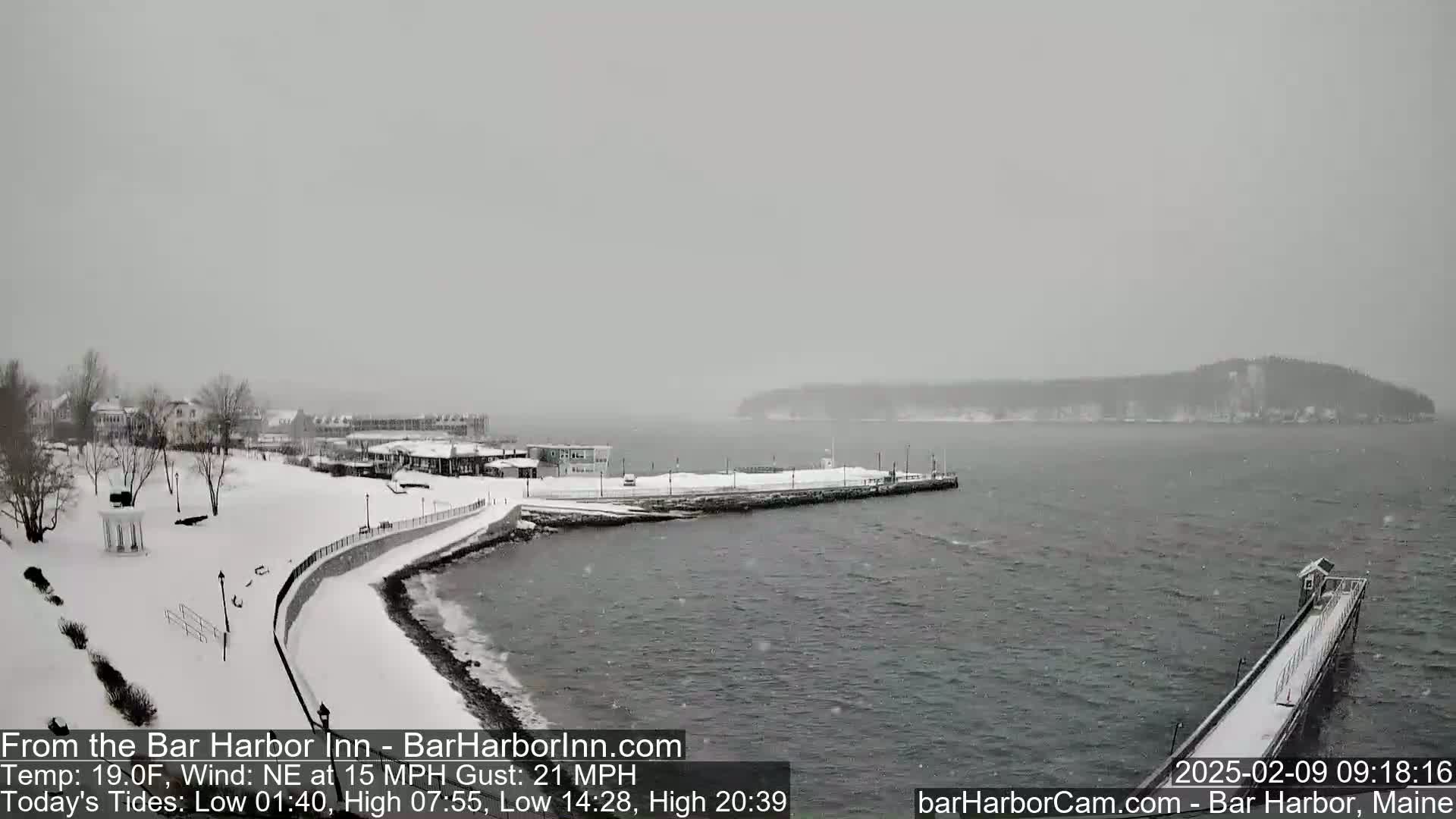 A snow-covered waterfront scene shows buildings and a walkway along the coast, with a body of water and a distant island under a gray, snowy sky.
