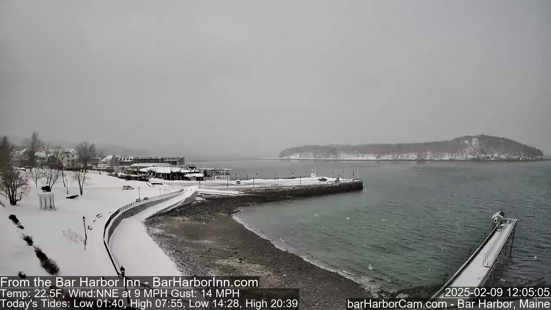 A snow-covered waterfront scene shows a partly-snowy town, a calm bay, and a long pier extending into the water under a gray, snowy sky.