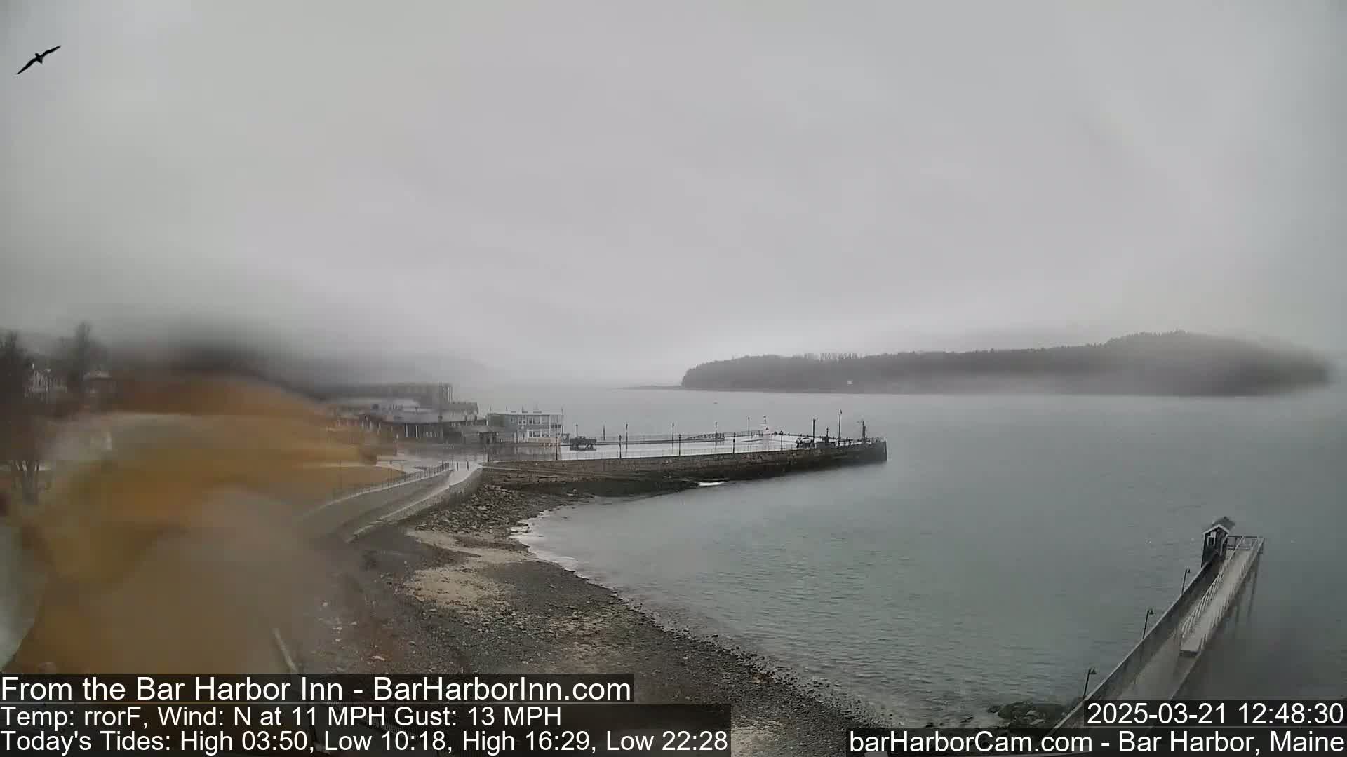A foggy harbor scene shows a long pier extending into the water, with a small island visible in the distance.