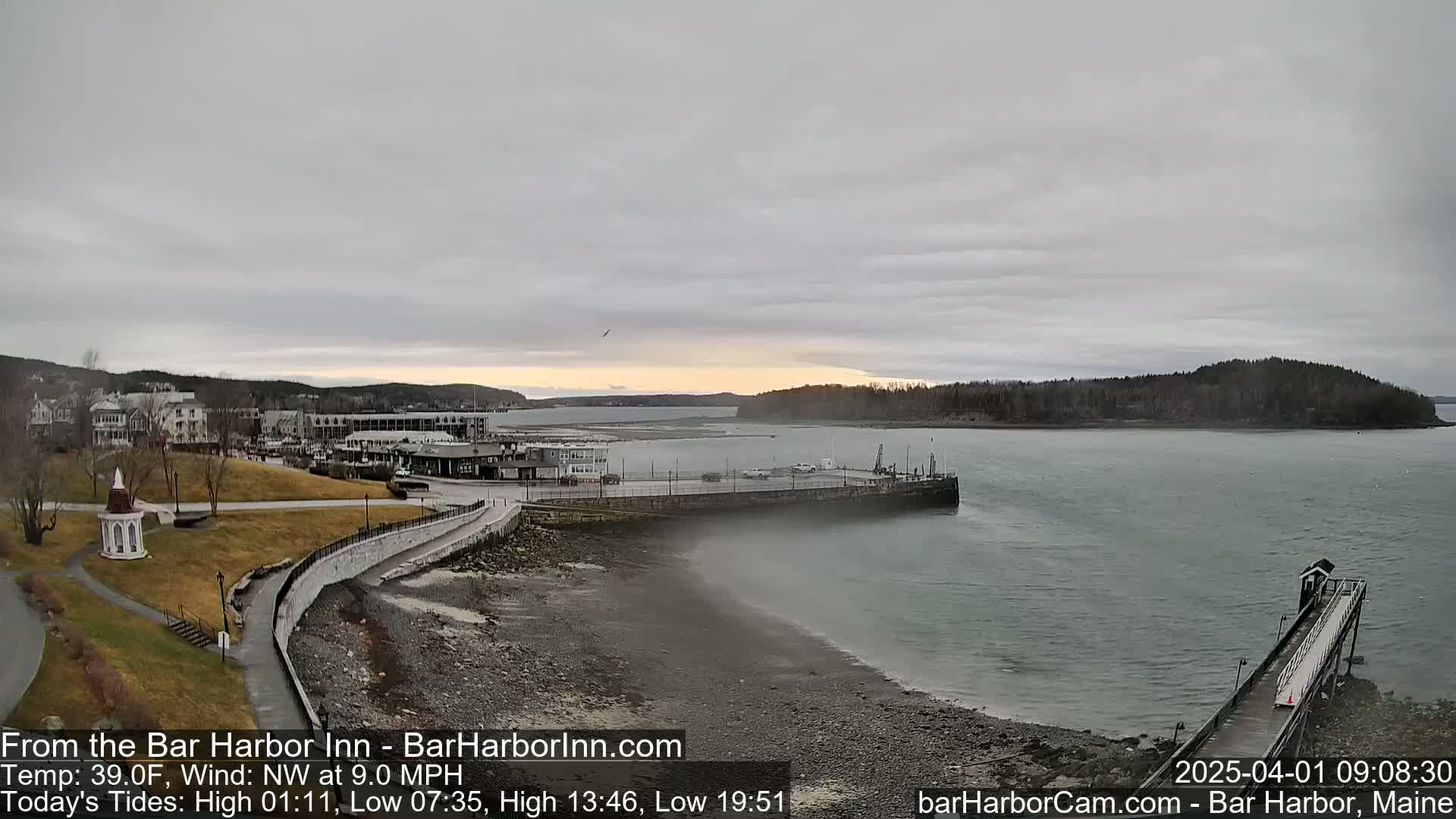 A coastal town, partially shrouded in mist, overlooks a calm harbor under an overcast sky.