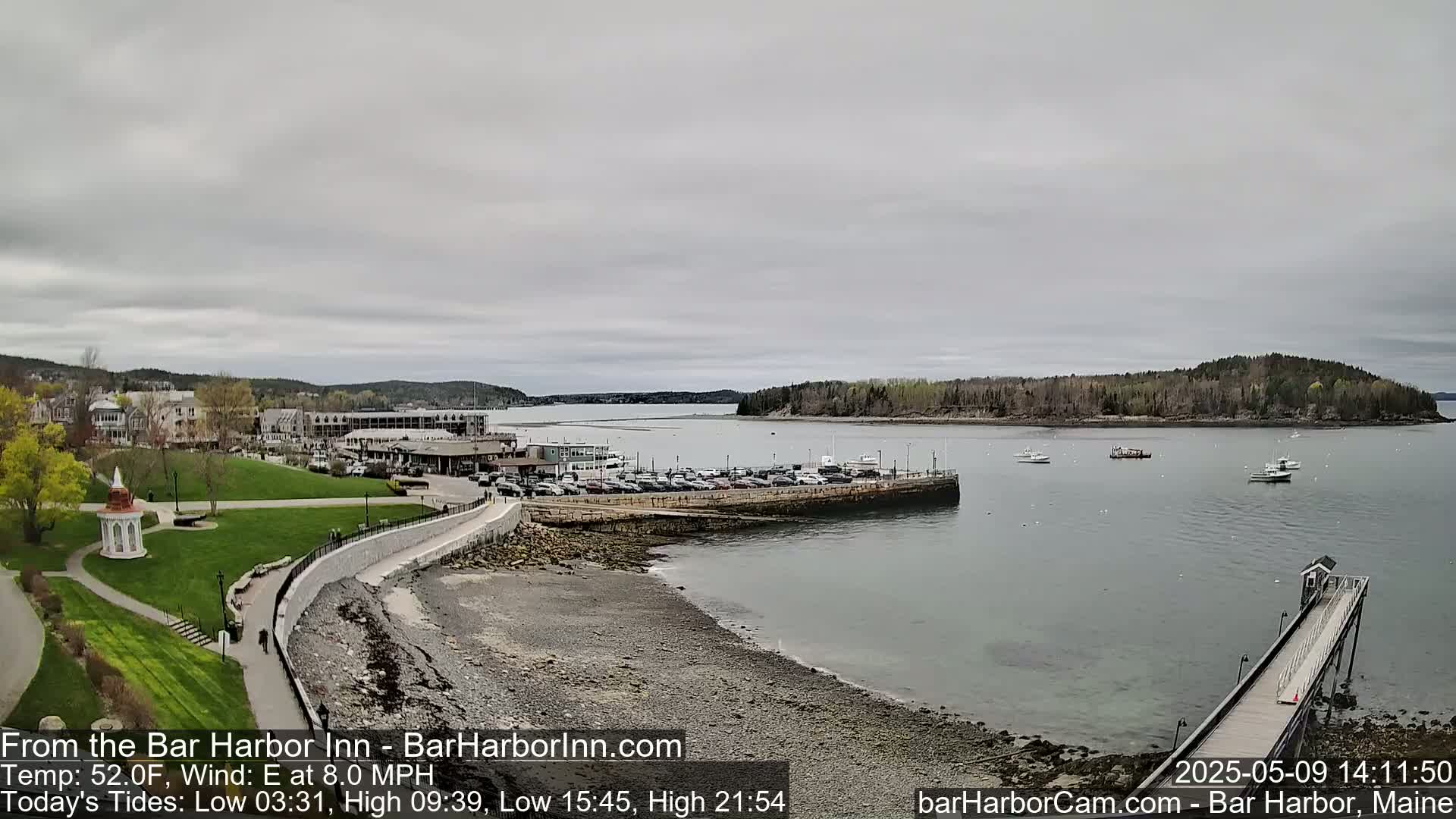 A coastal town with a harbor filled with boats, a grassy park, and buildings under an overcast sky.
