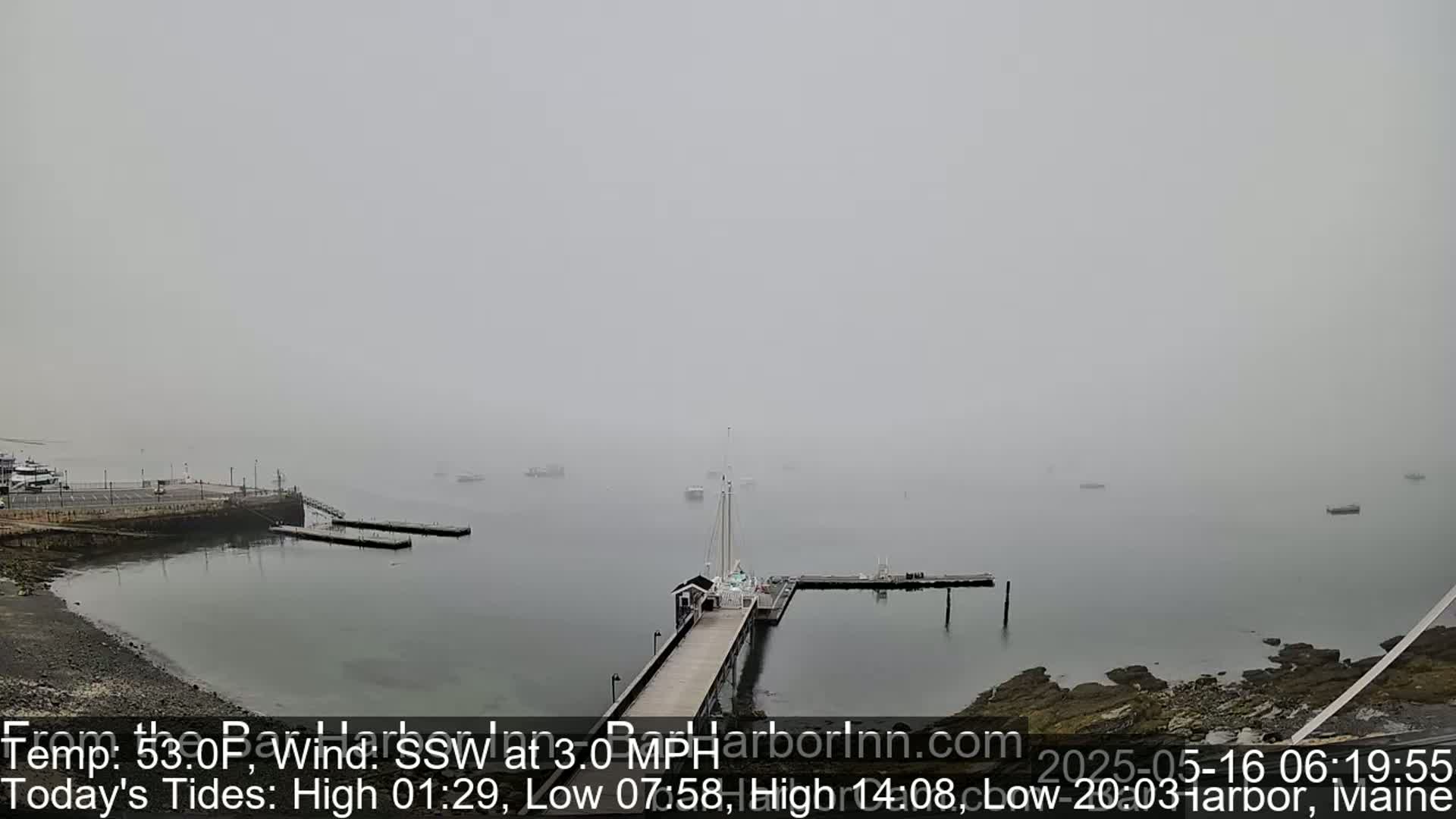 A foggy harbor scene shows a pier extending into the water with several boats moored nearby.