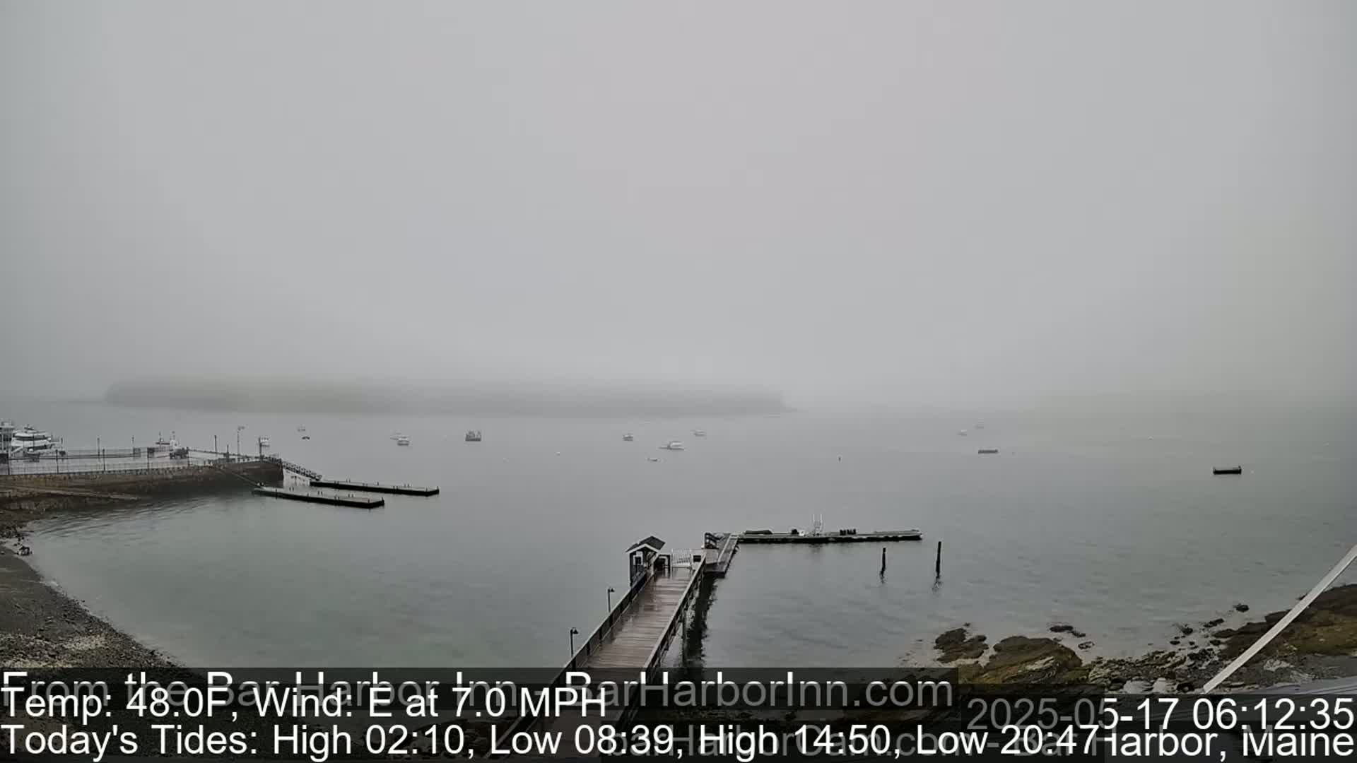 A foggy harbor scene shows a calm body of water with several boats and a long dock extending from a rocky shoreline.