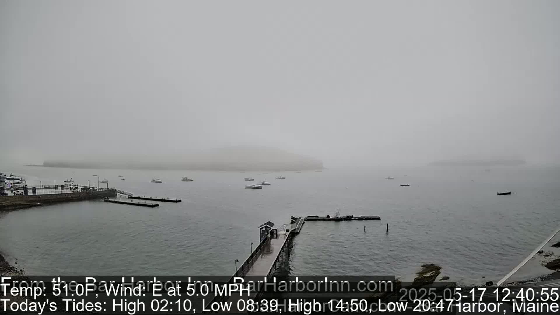 A foggy harbor scene shows several boats moored at a pier extending into calm water, with a hazy island visible in the distance.