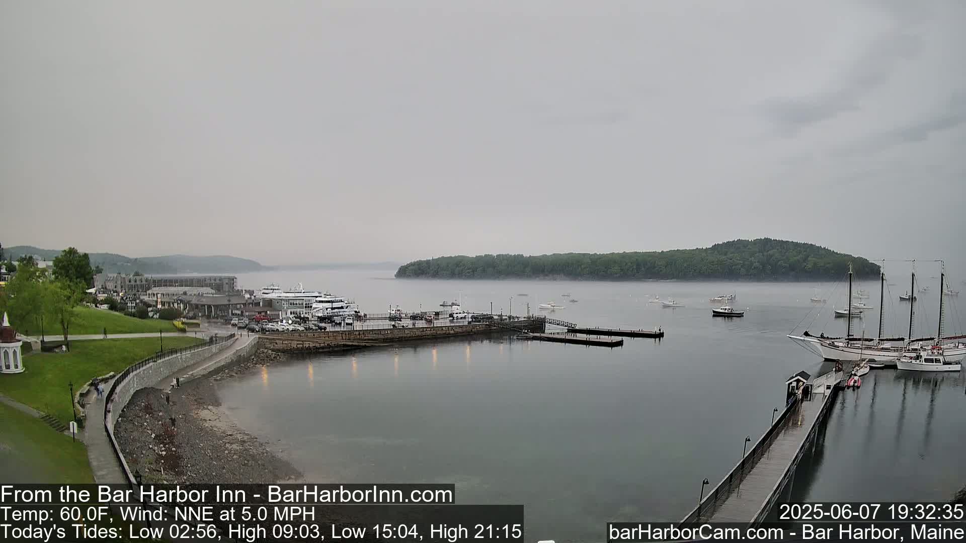 A harbor scene on an overcast day shows a calm body of water with several boats and ships docked near a shoreline with buildings and green space.