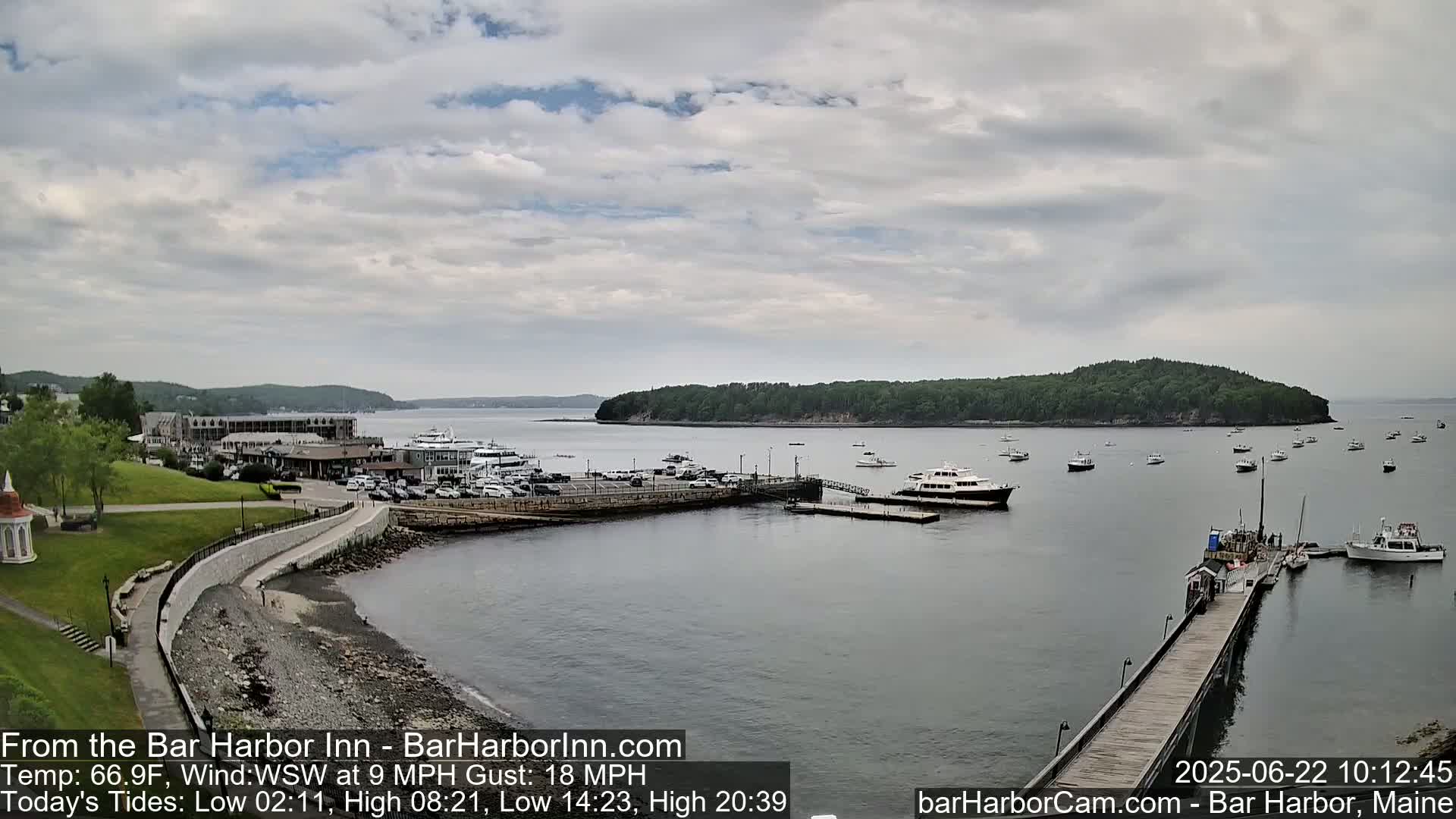 A harbor with numerous boats and a long pier on an overcast day.