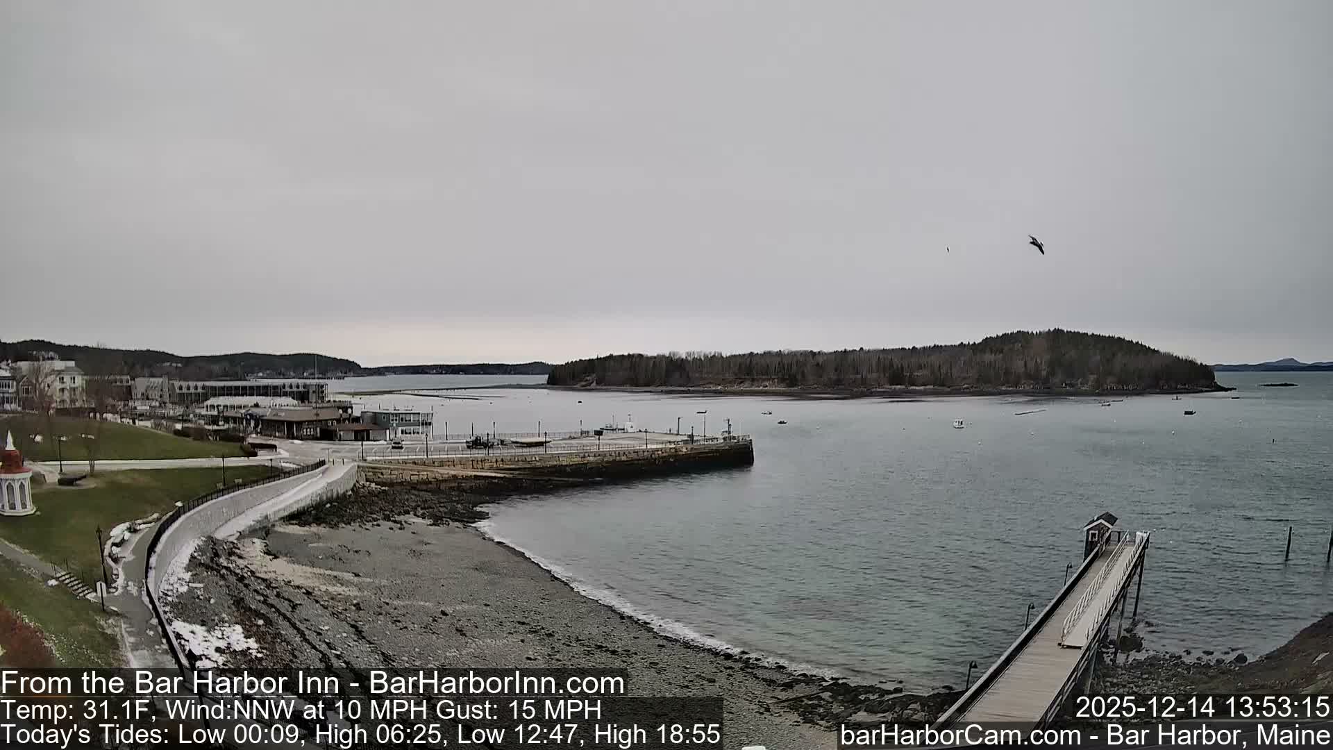 A nocturnal view of a harbor shows illuminated buildings and a well-lit pier along the waterfront, with lights reflecting on calm water and dark hills in the distance, all under a cloudy night sky.