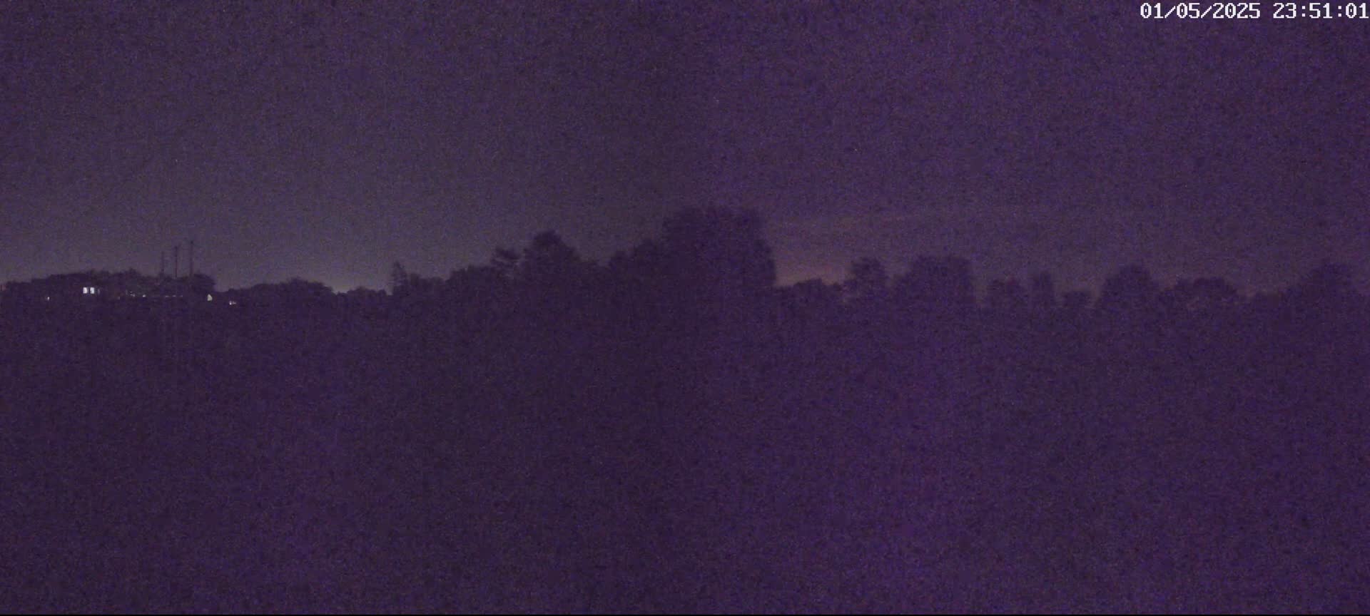 A nighttime long shot shows a dark treeline silhouetted against a dusky purple sky.