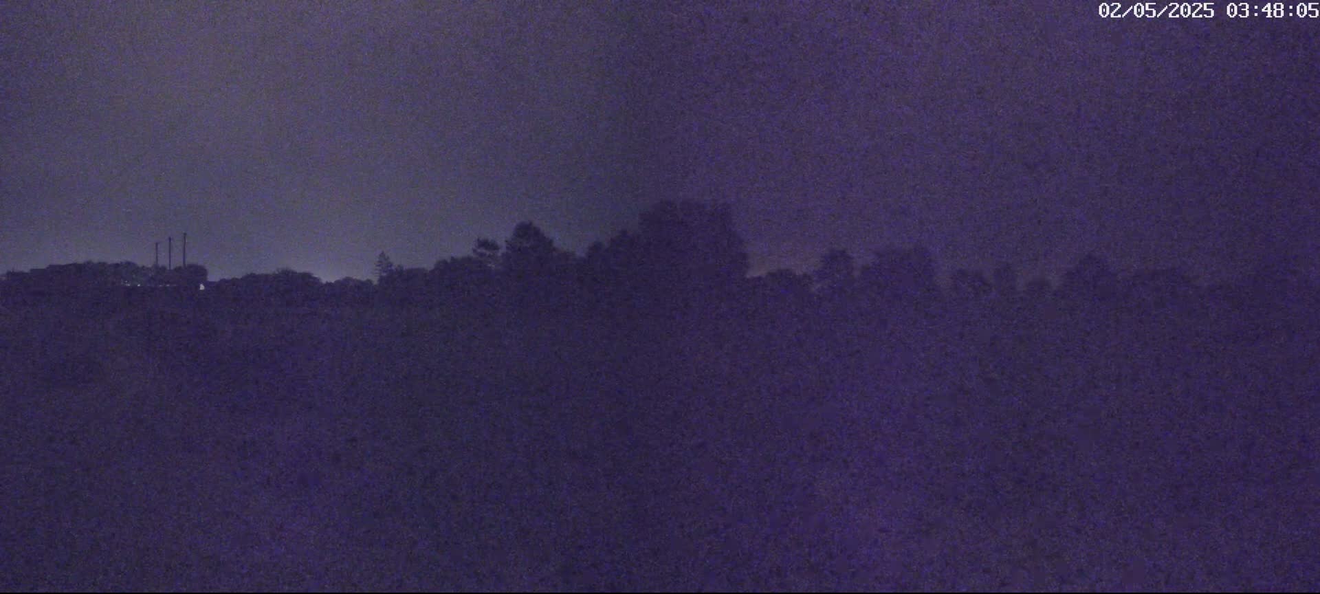 A dark, shadowy landscape of trees and possibly industrial structures is visible under a dusky, nighttime sky.