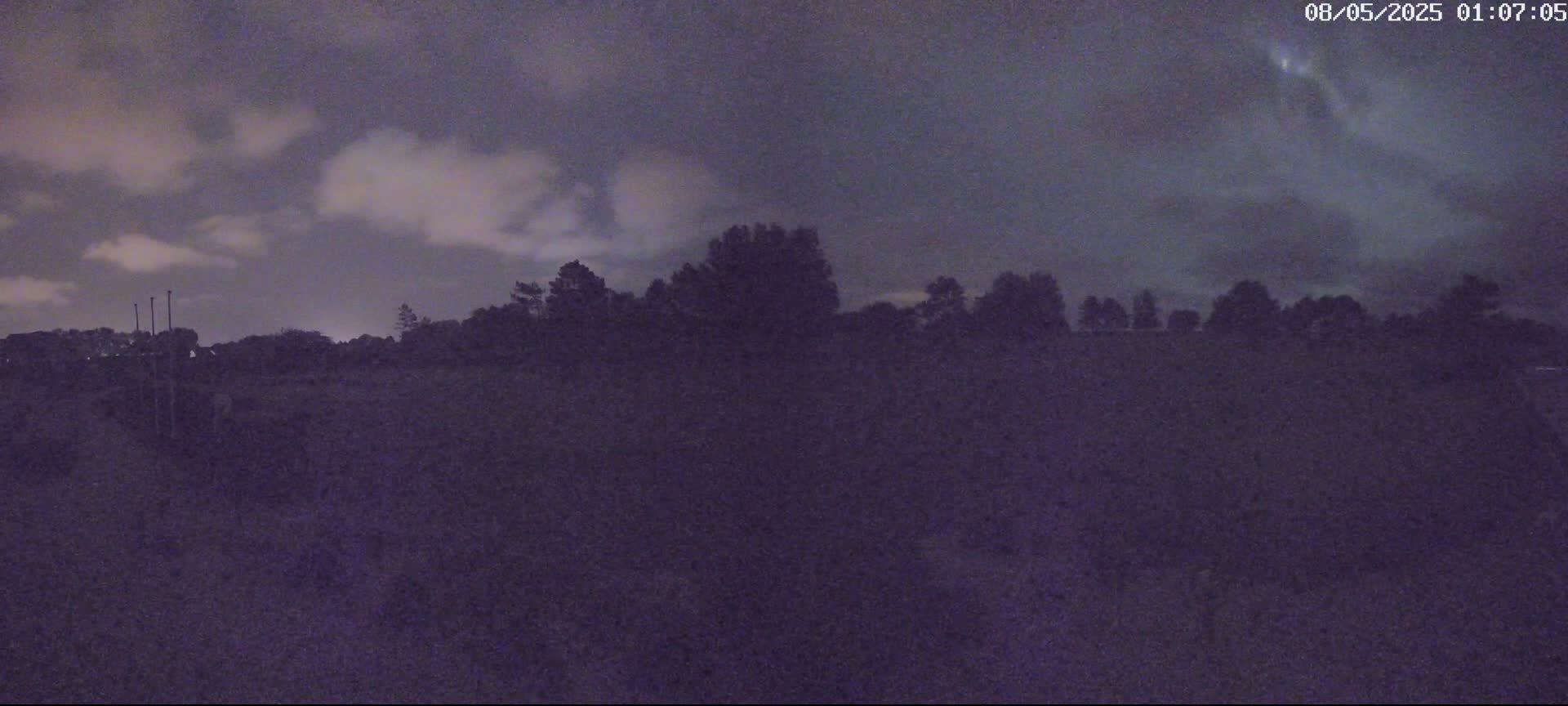A dark, nighttime landscape shows a line of silhouetted trees under a cloudy sky.