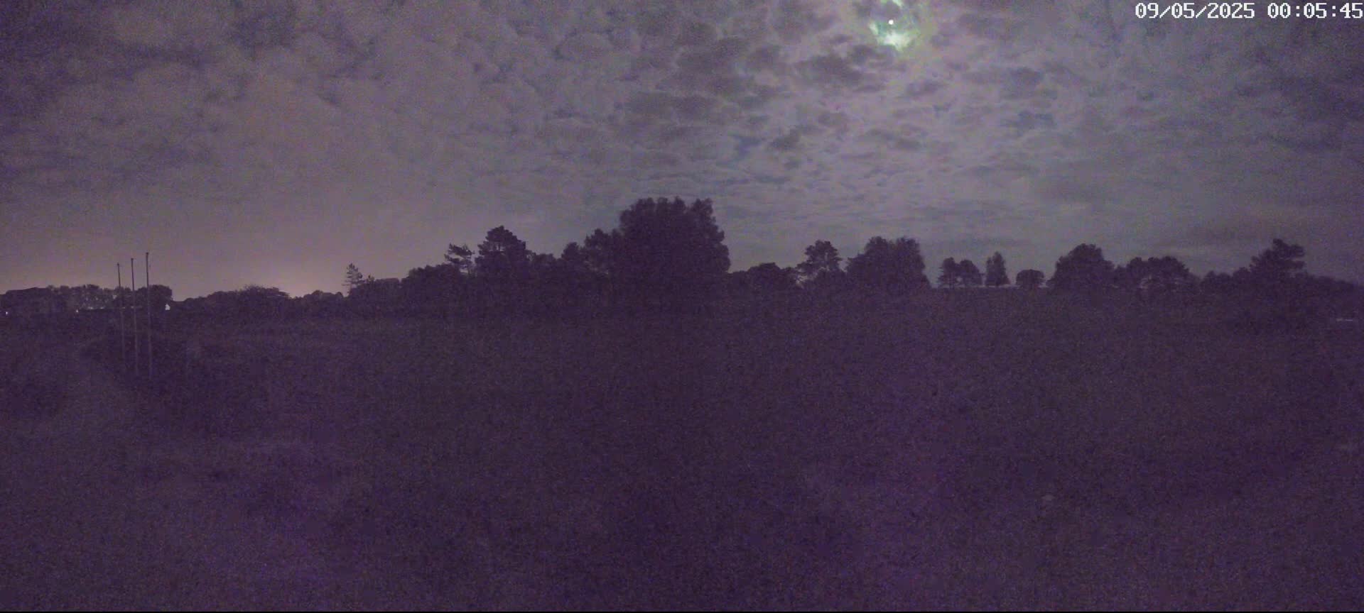 A moonlit night scene shows a dark, silhouetted line of trees against a cloudy sky.