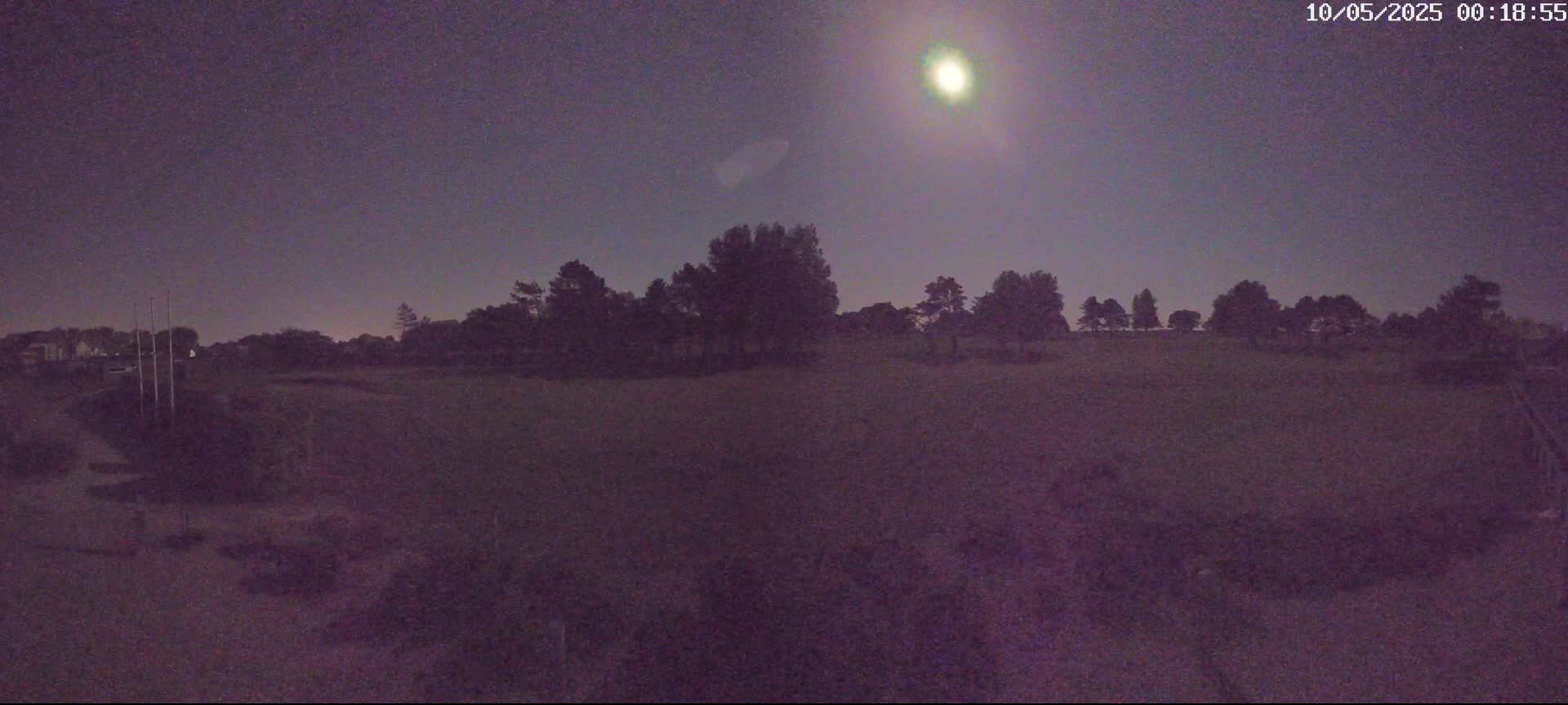 A bright moon illuminates a dark, flat landscape with a line of silhouetted trees in the distance under a night sky.