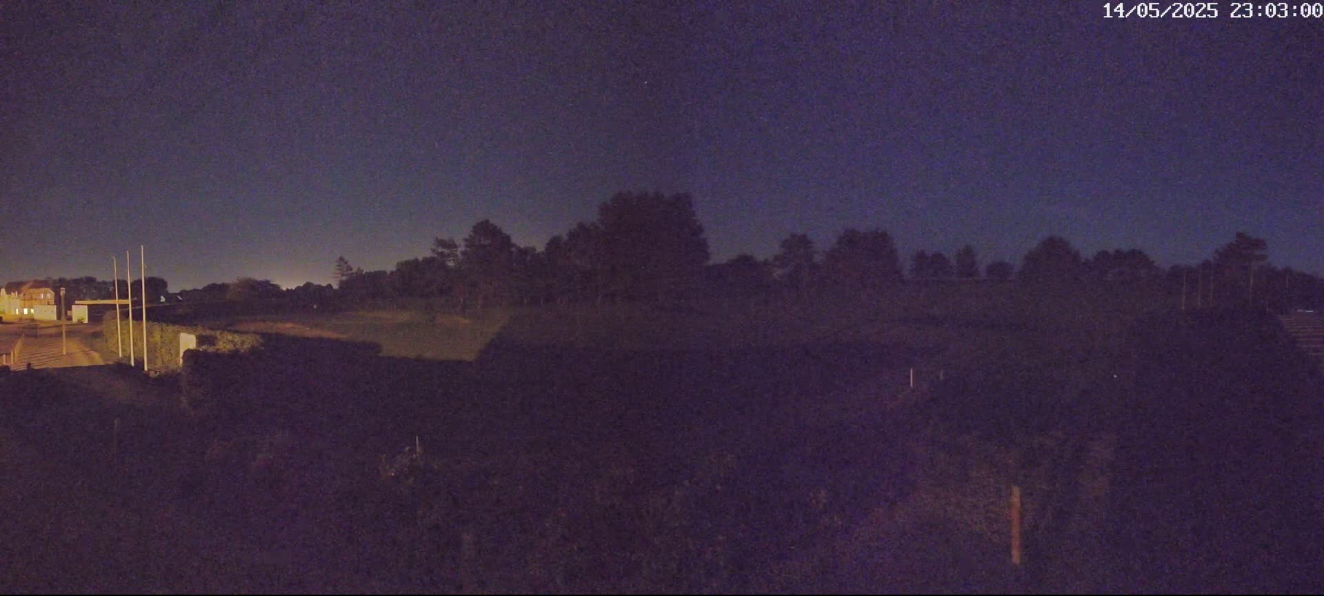 A nighttime view shows a dark field, a line of trees, and a building in the distance under a clear, dark sky.