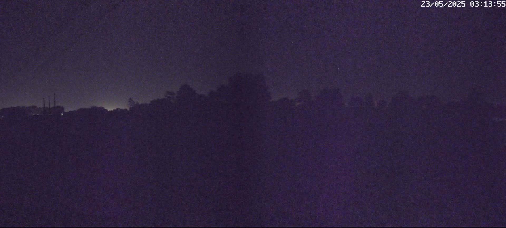 A dark, nighttime view shows a silhouetted line of trees and distant structures under a mostly clear, dark sky.